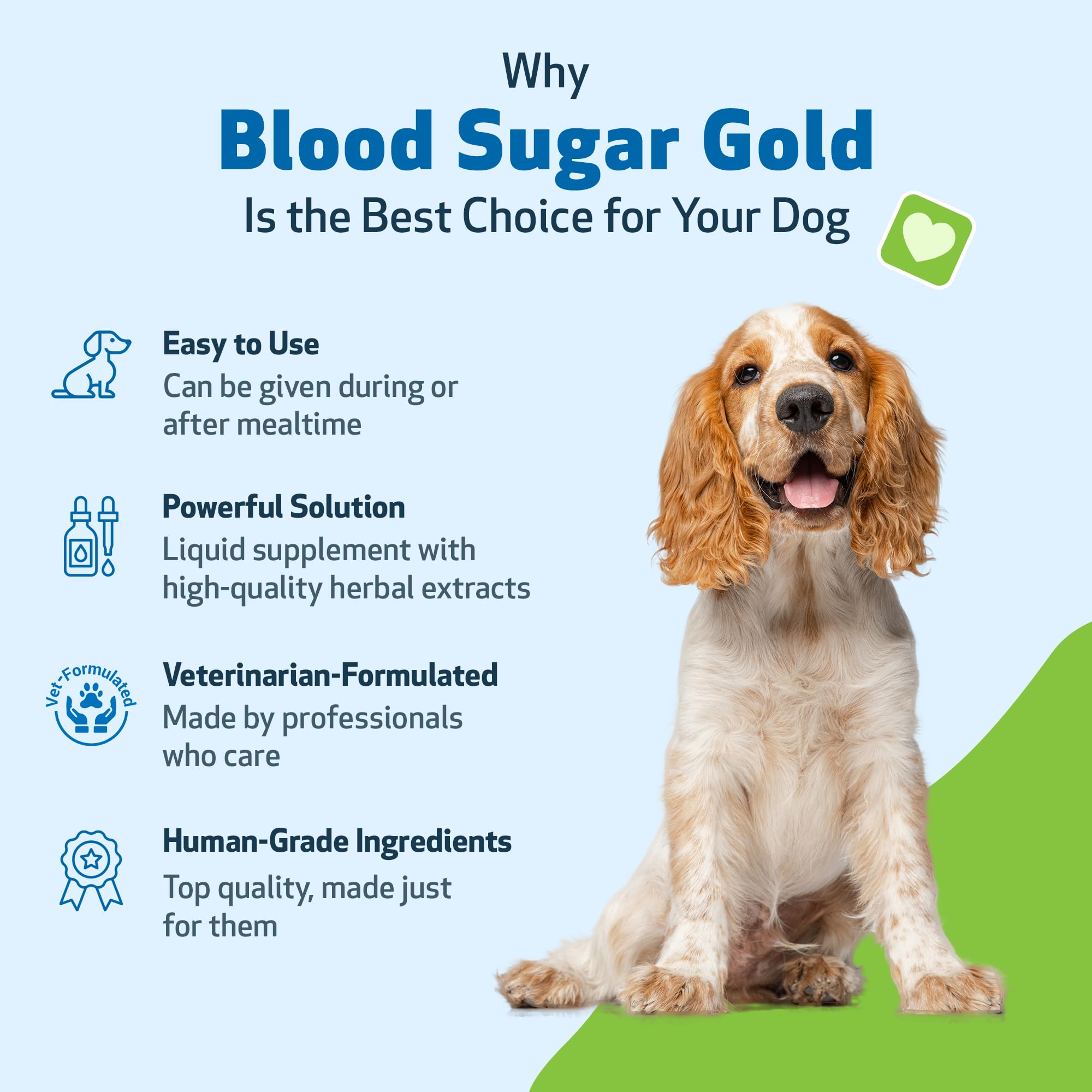 Pet Wellbeing Blood Sugar Gold dogs with playful dog suggests daily wellness support.