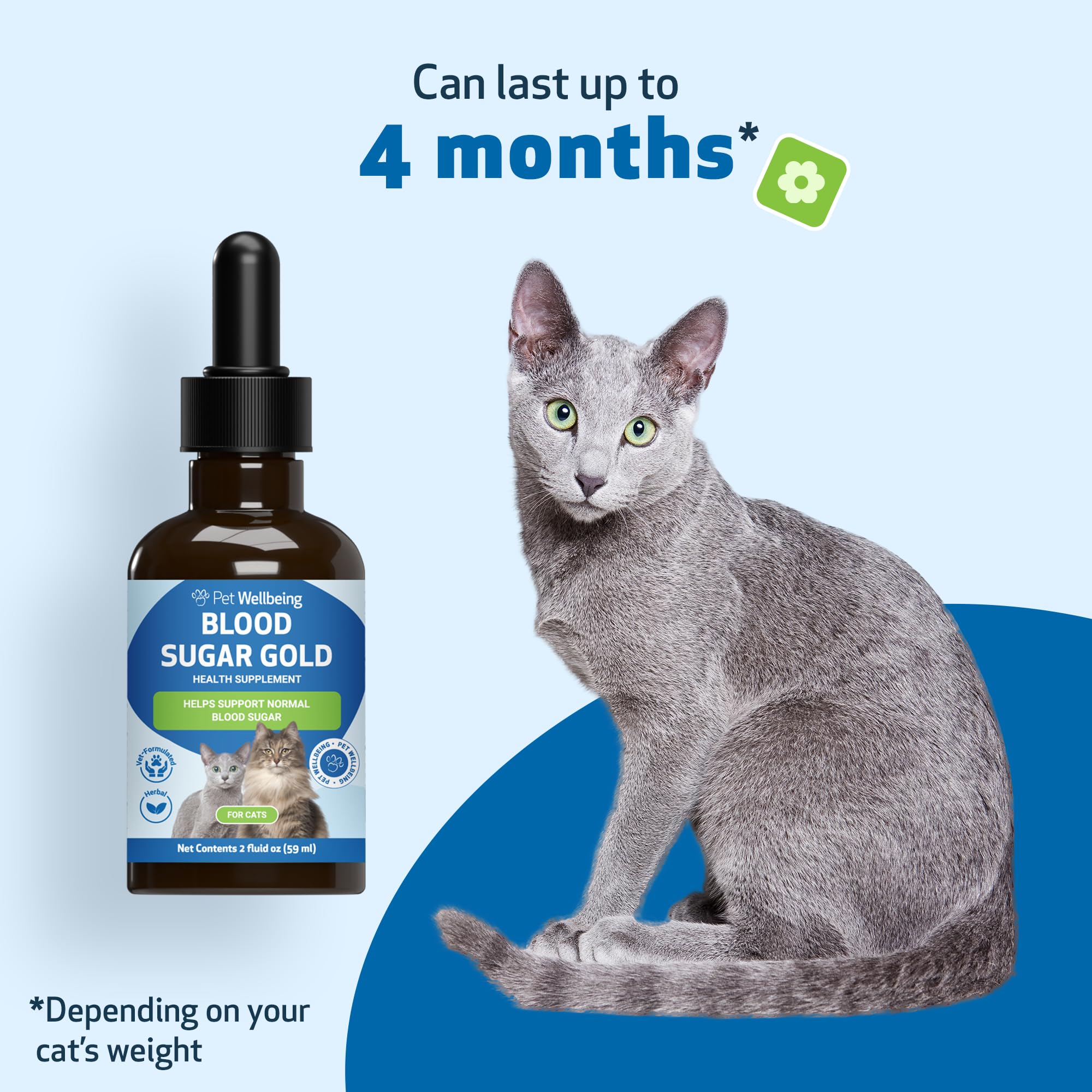 Pet Wellbeing Blood Sugar Gold for Cats storage-ready bottle on counter implies practical daily use.