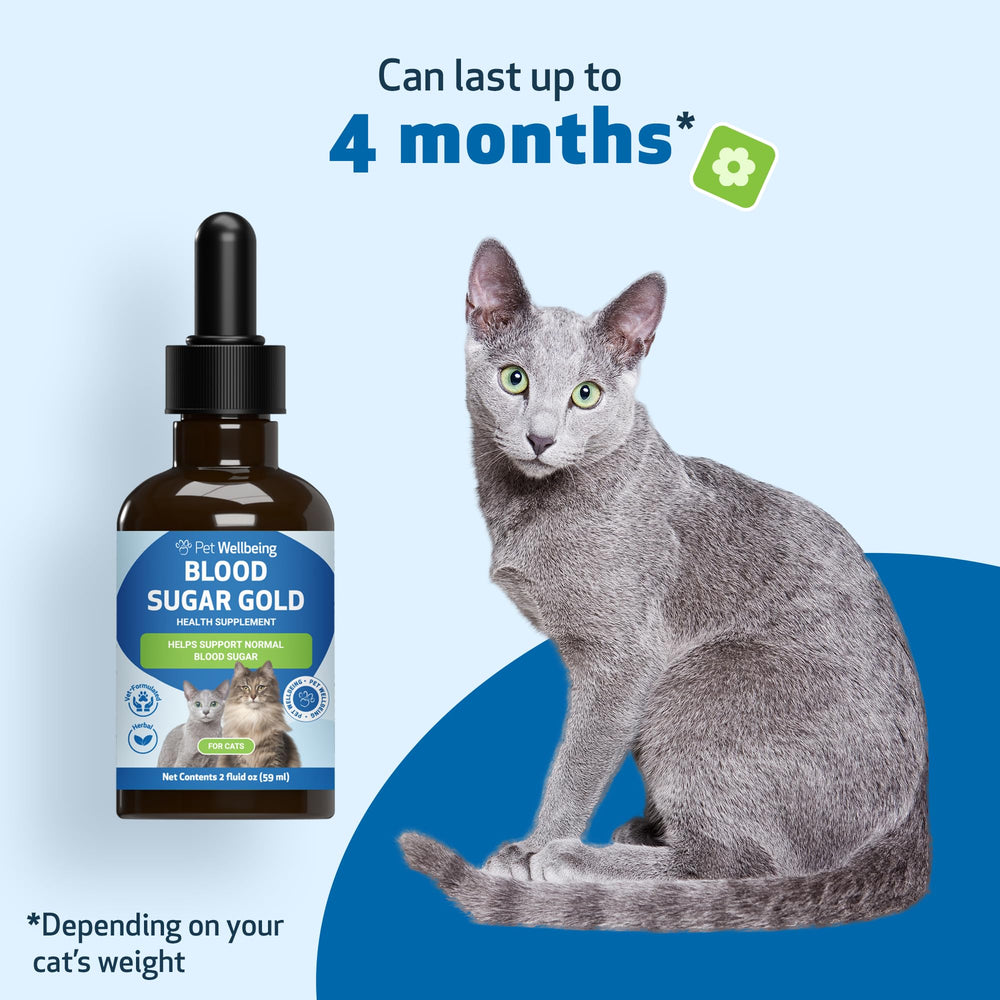 Pet Wellbeing Blood Sugar Gold for Cats storage-ready bottle on counter implies practical daily use.