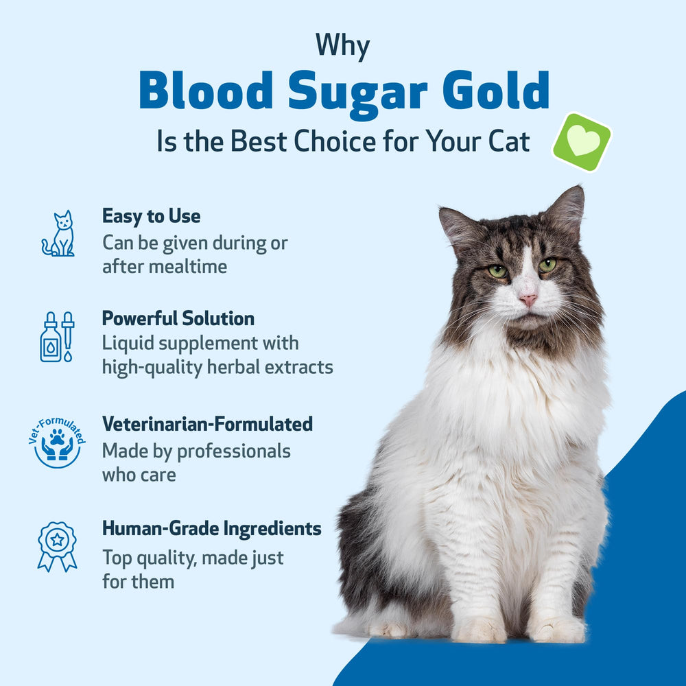 Pet Wellbeing Blood Sugar Gold for Cats vet-formulated badge reinforces feline health trust.
