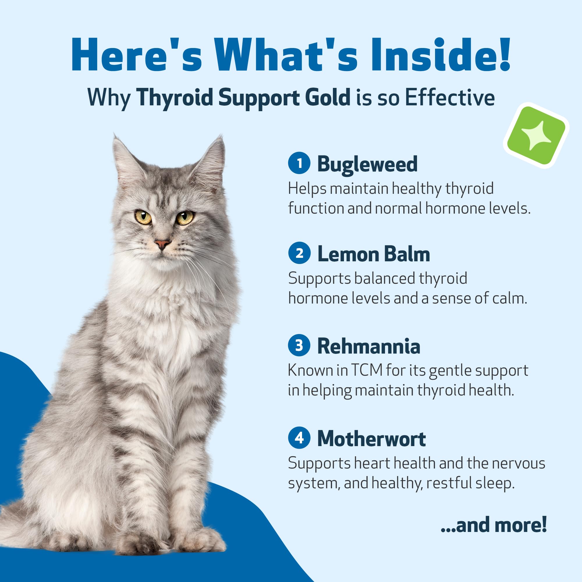Pet Wellbeing bugleweed lemon balm ingredients highlight traditional thyroid support