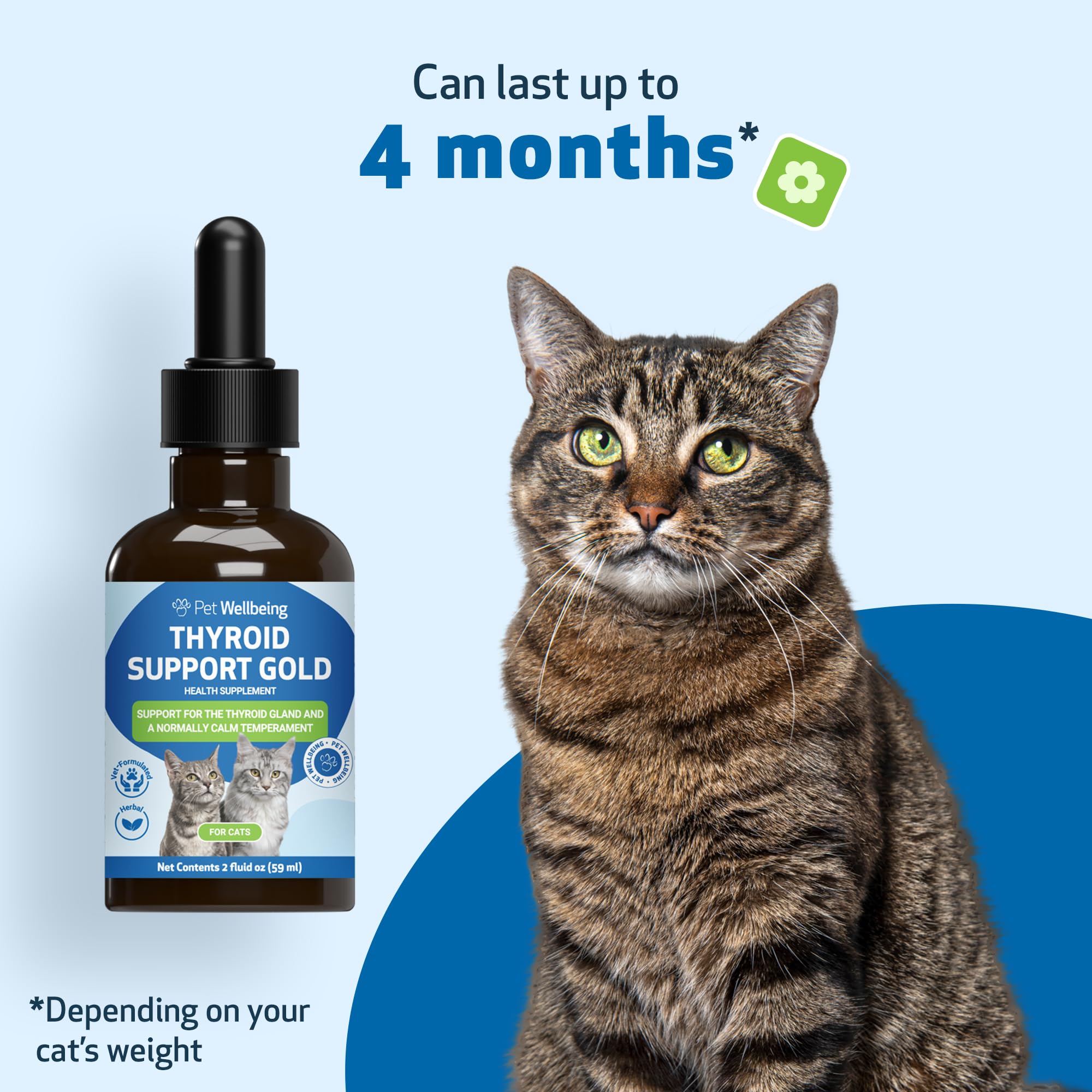 Pet Wellbeing Thyroid Support Gold being used with a cat for easy dosing