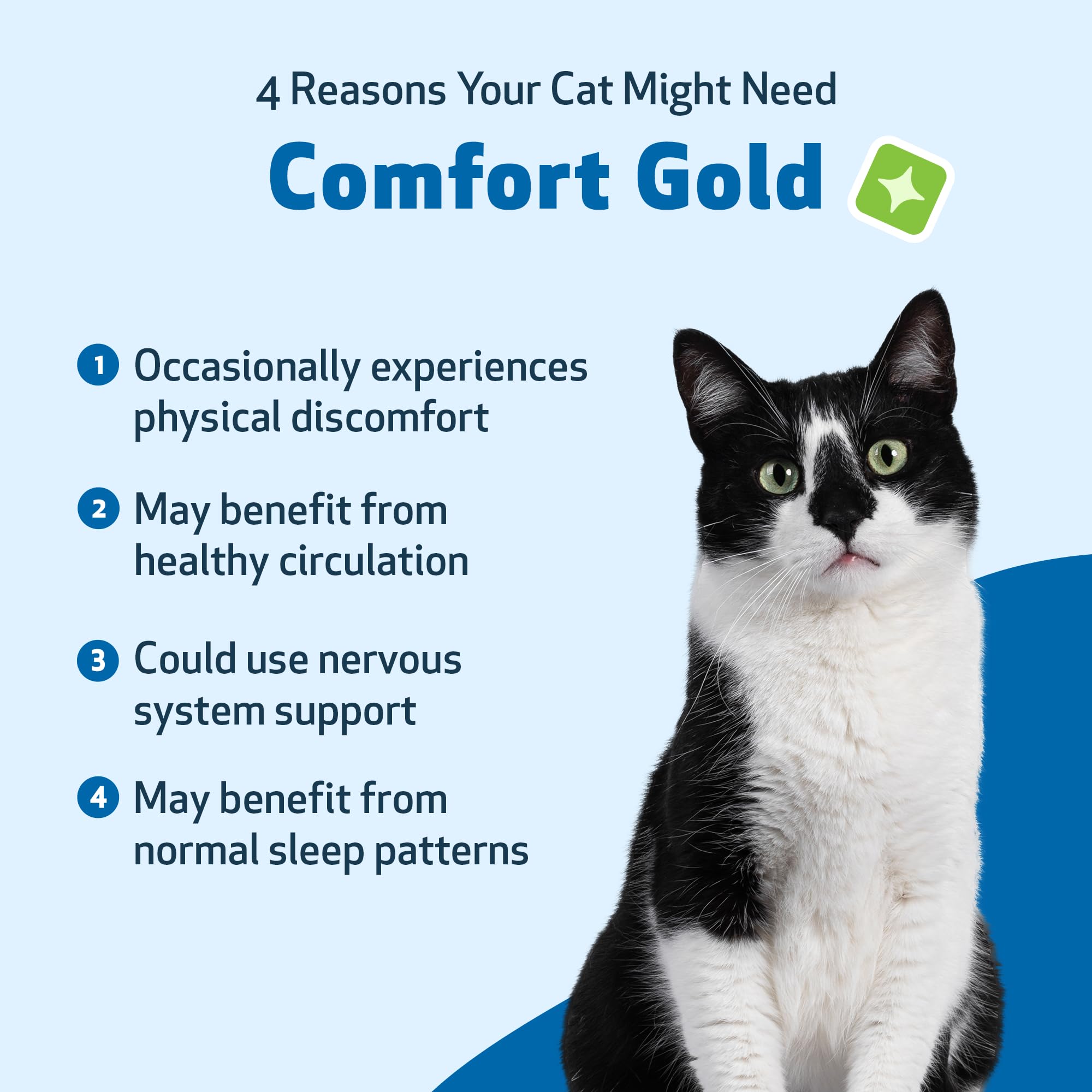 Pet Wellbeing Comfort Gold cat resting contently illustrates potential calmer days.