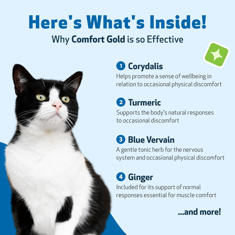 Pet Wellbeing Comfort Gold veterinarian-formulated for reliable cat health support.