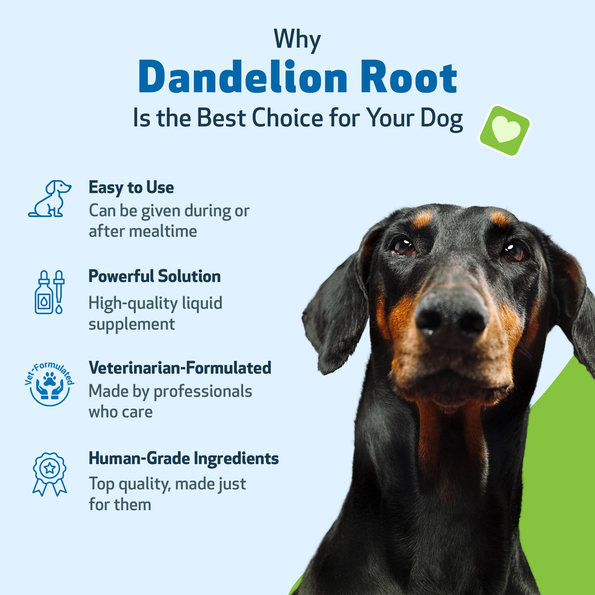 Pet Wellbeing Dandelion Root heart health icon suggests circulatory support.