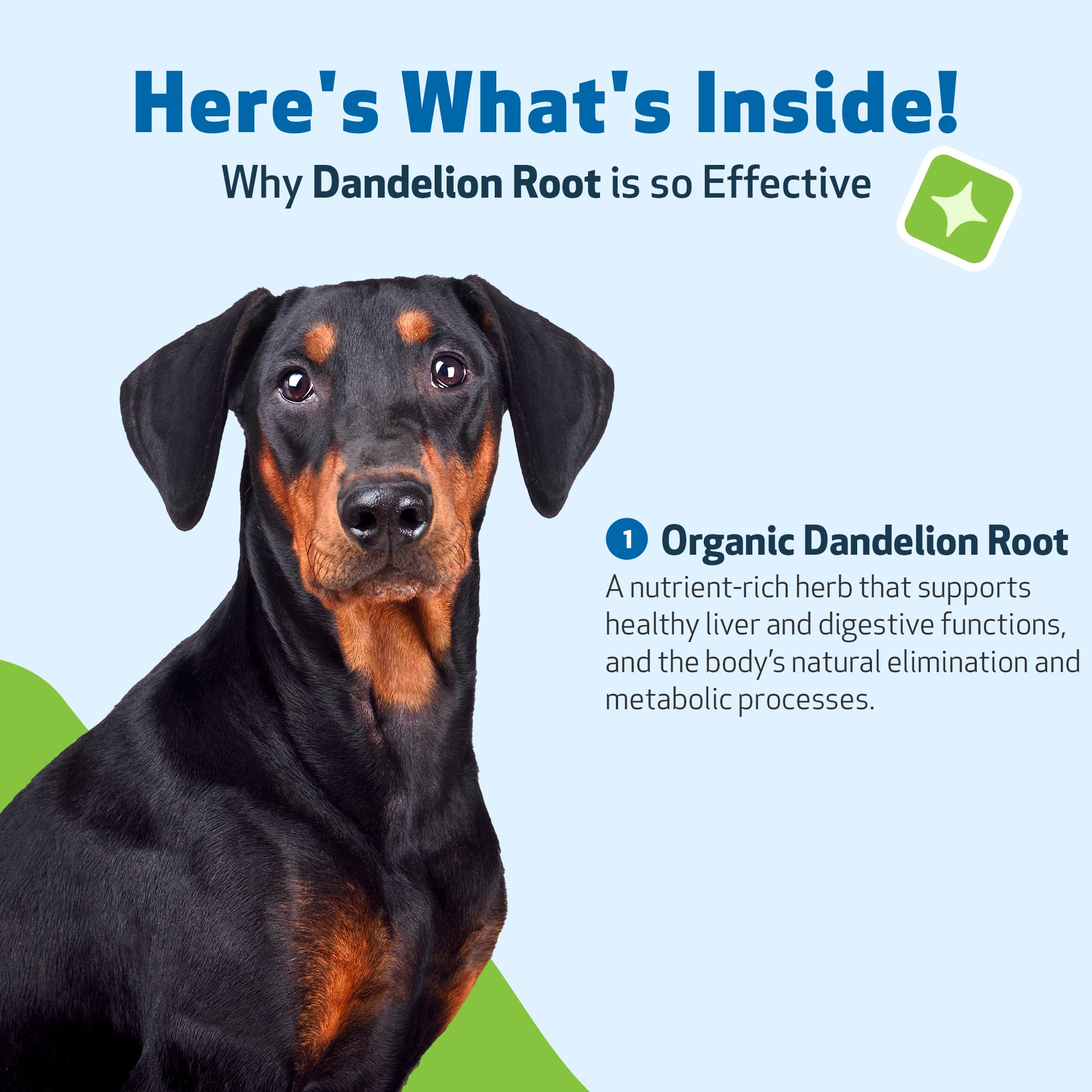 Pet Wellbeing Dandelion Root organic certification badge communicates quality.