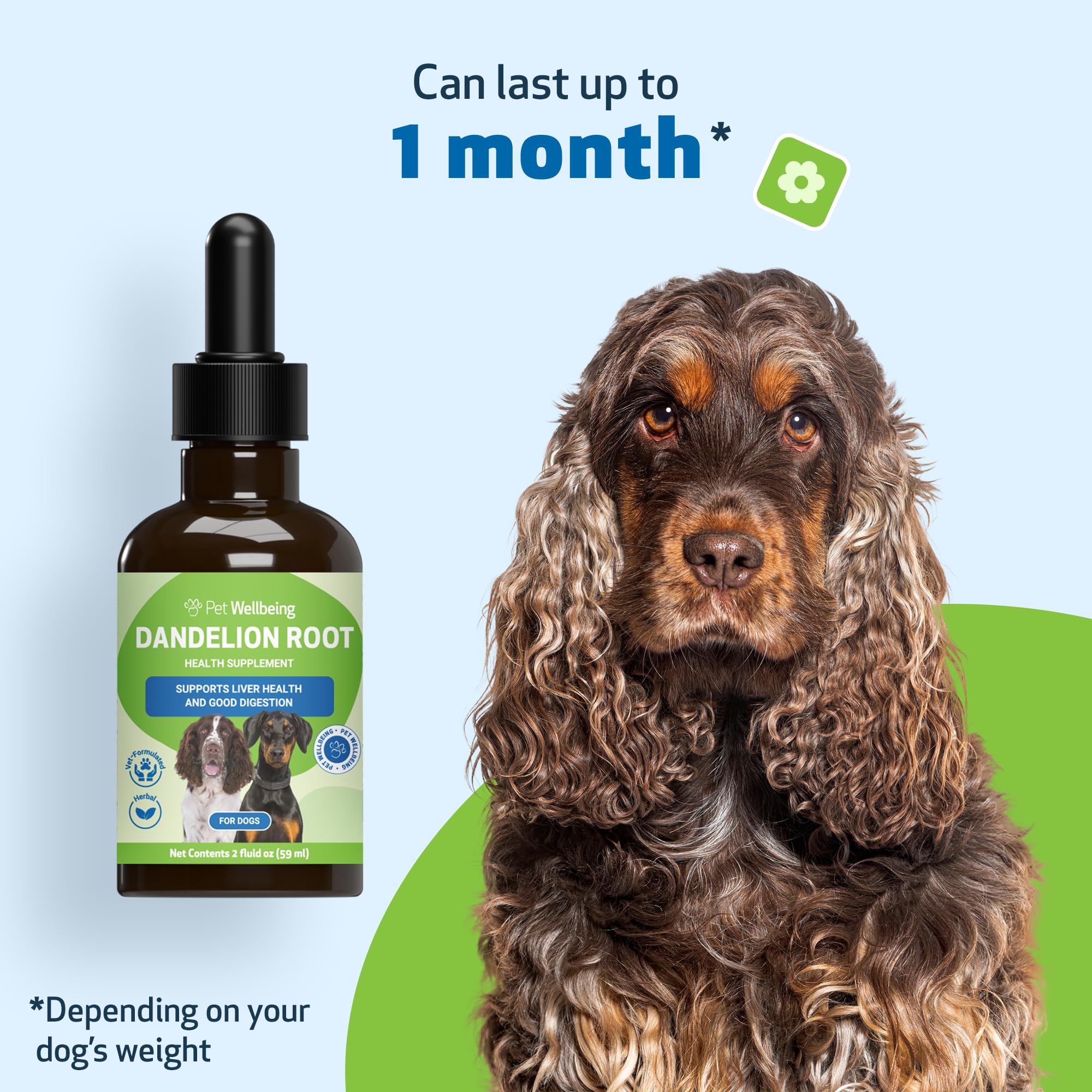 Pet Wellbeing Dandelion Root USA facility emphasizes safety standards.