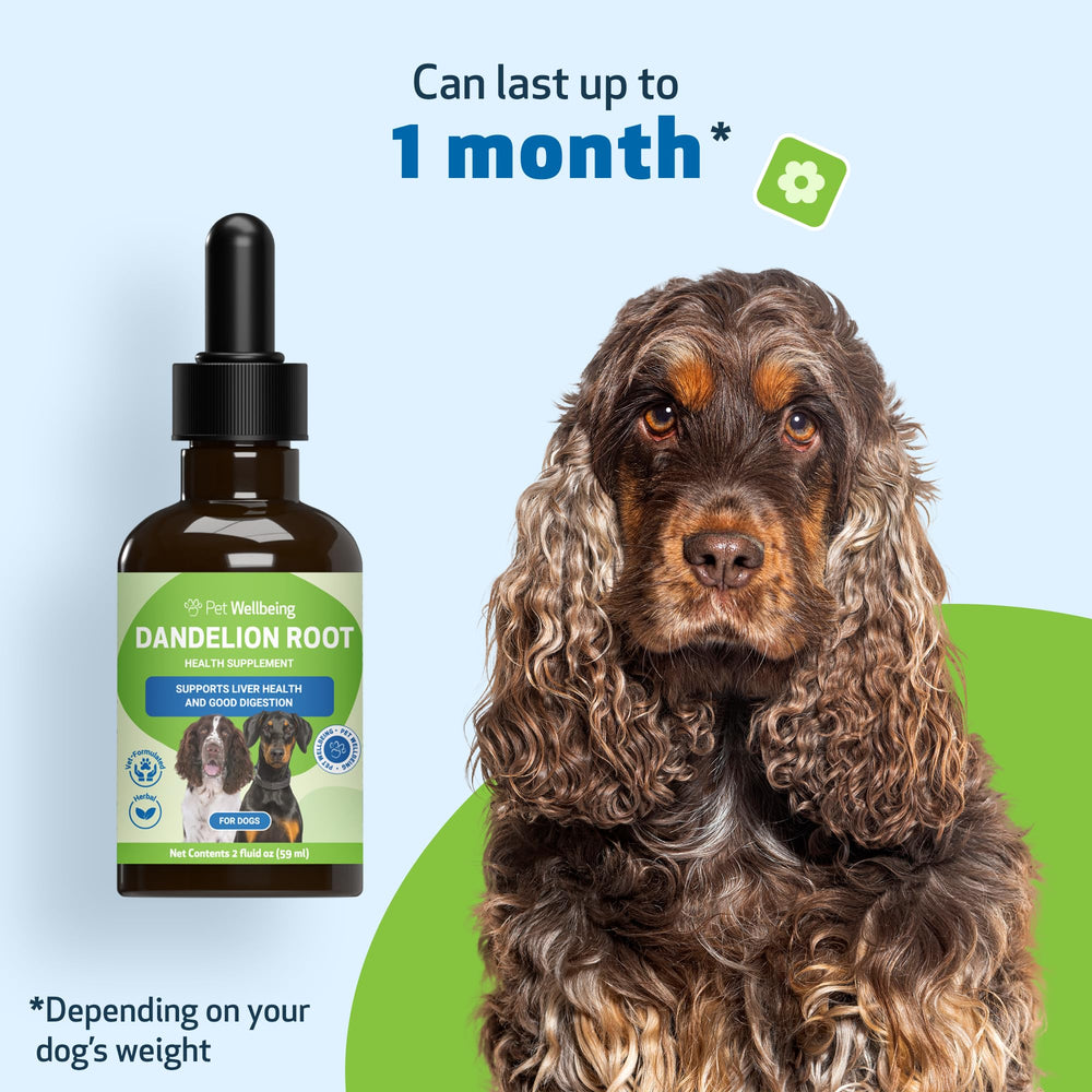 Pet Wellbeing Dandelion Root USA facility emphasizes safety standards.
