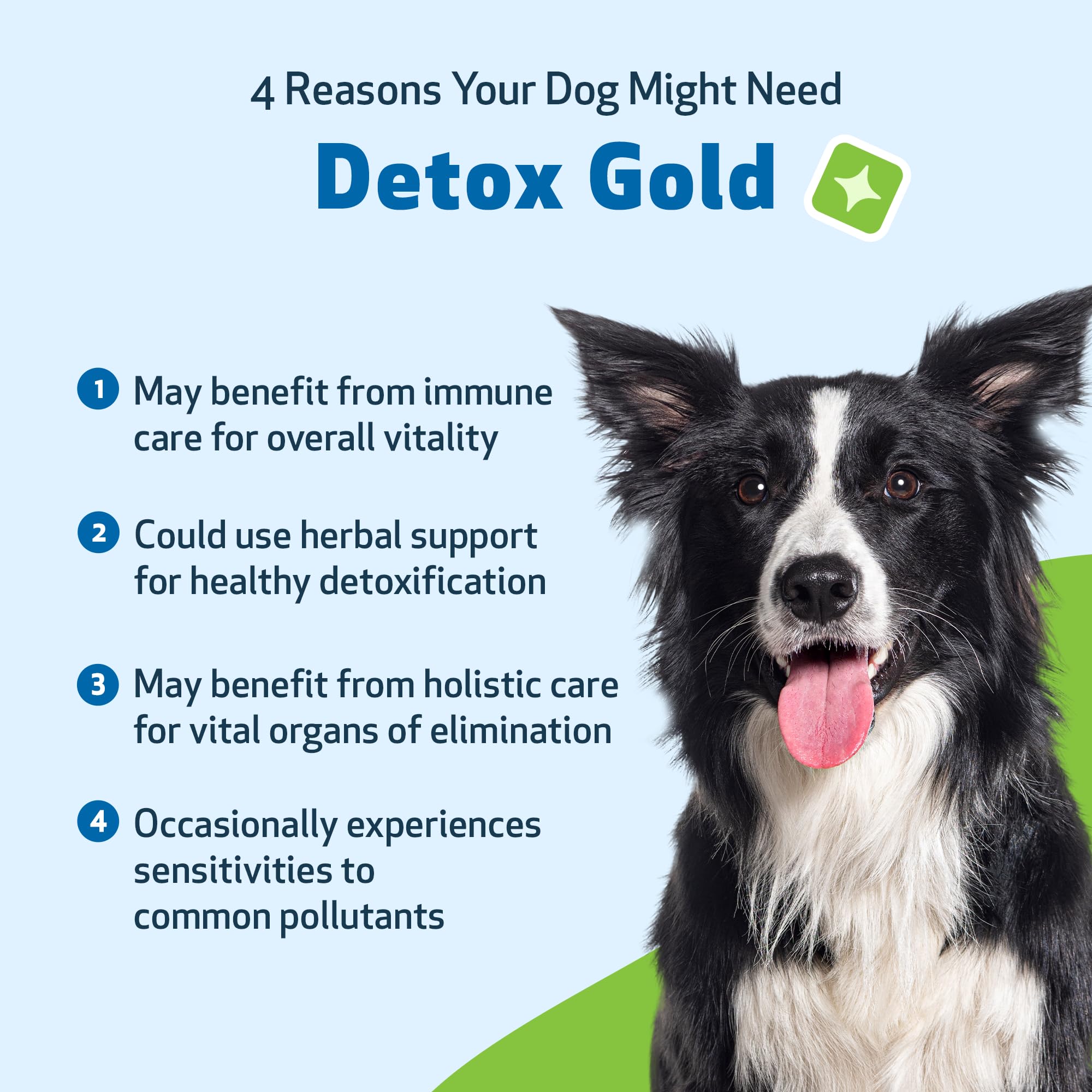 Pet Wellbeing Detox Gold, etiqueta visible que transmite calidad.