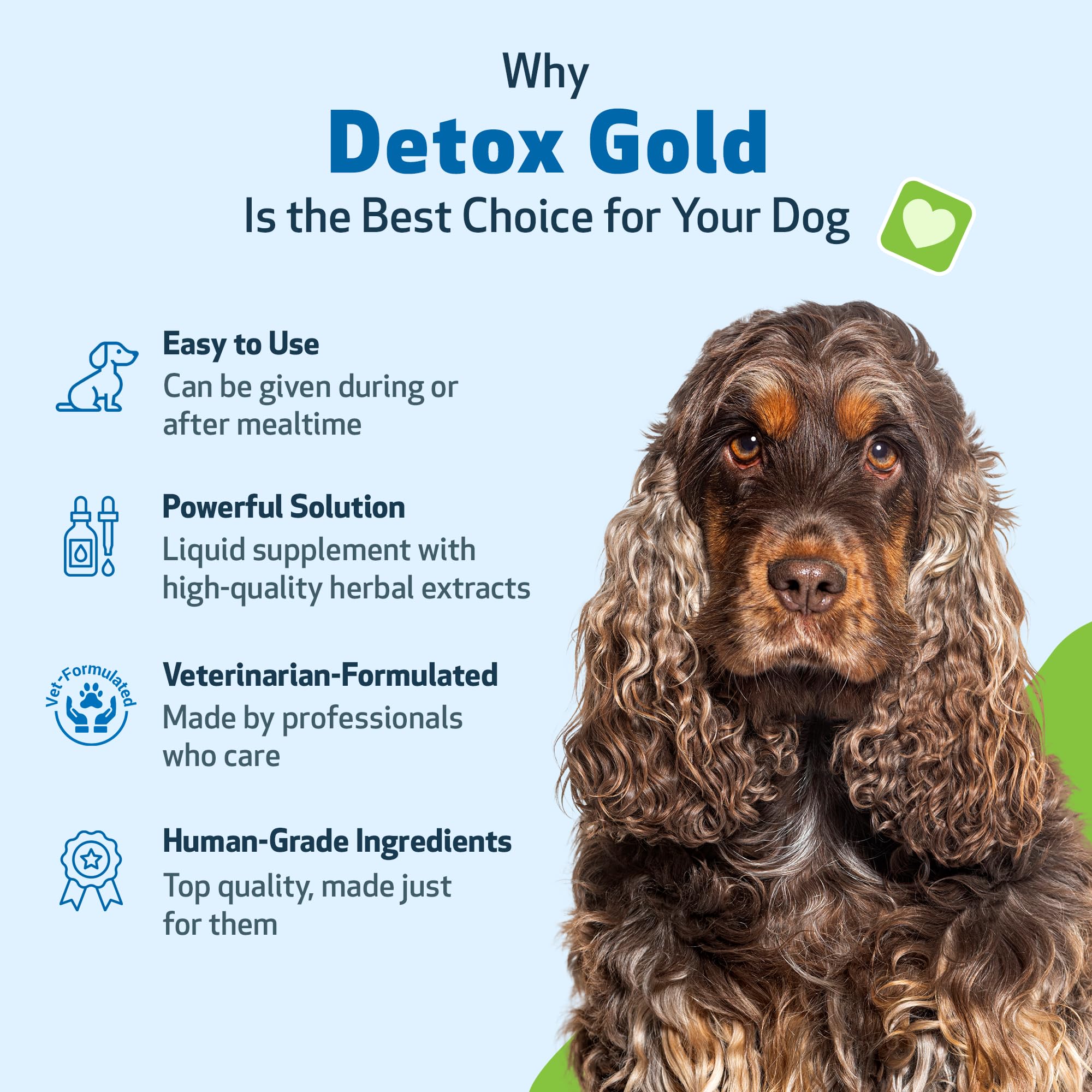 Cardo bendito en Pet Wellbeing Detox Gold, mezcla herbal equilibrada.