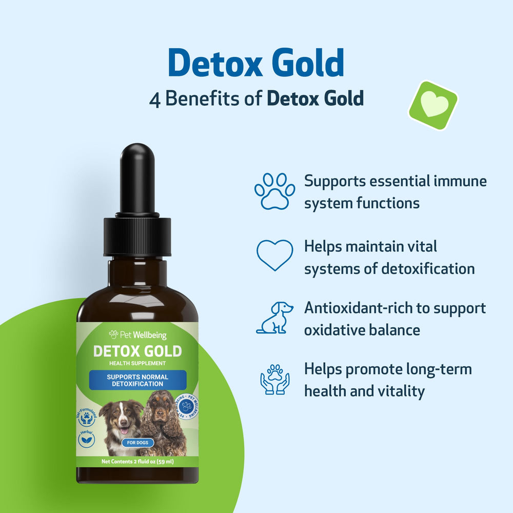 Ortiga, ingrediente clave en Pet Wellbeing Detox Gold para bienestar general.