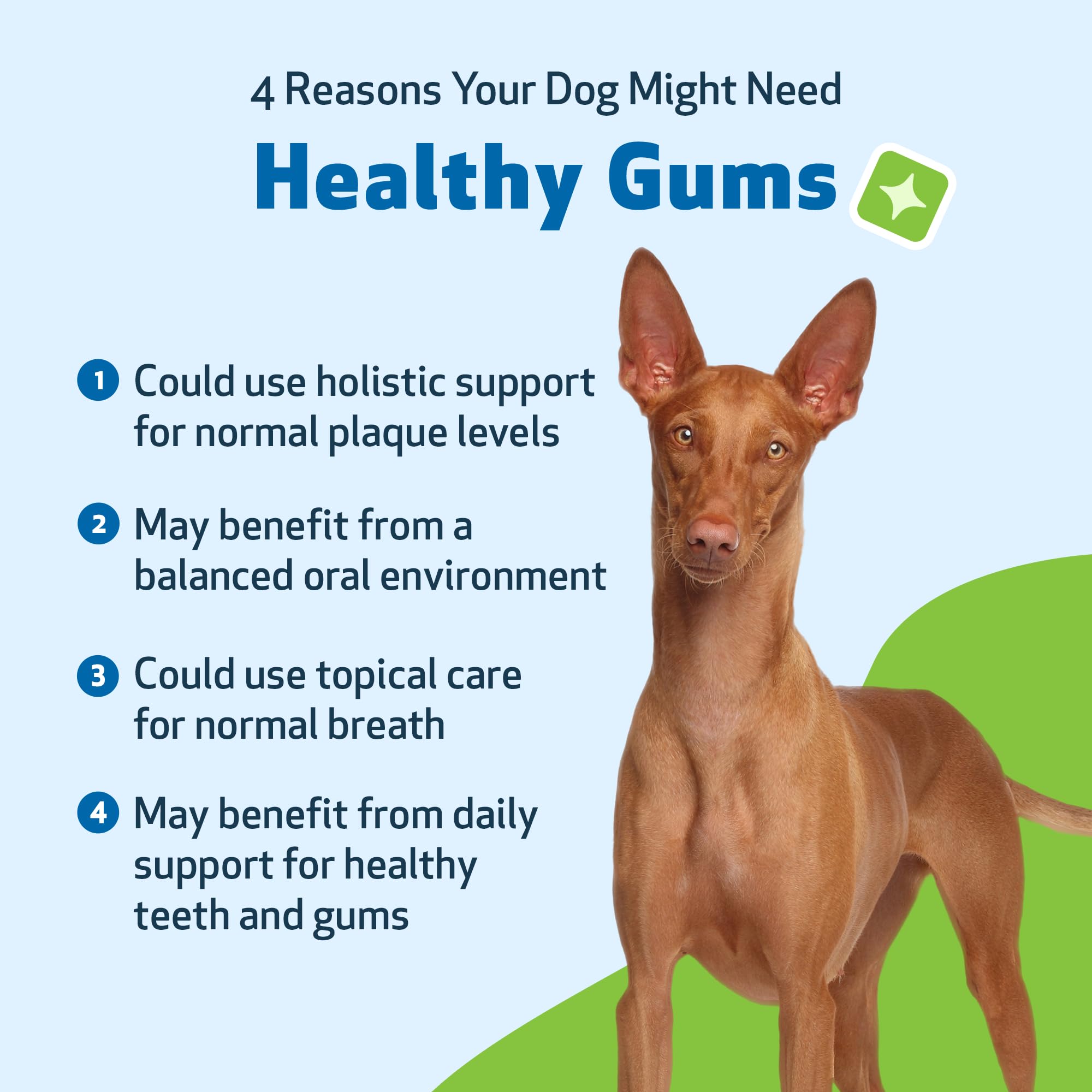 Pet Wellbeing Fresh breath for dogs imagery promoting cleaner mouths.