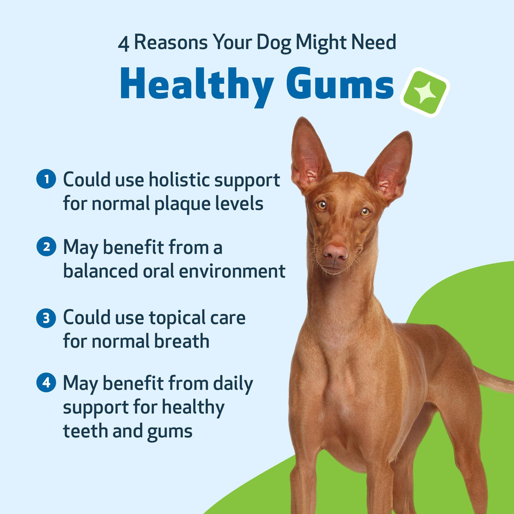 Pet Wellbeing Fresh breath for dogs imagery promoting cleaner mouths.