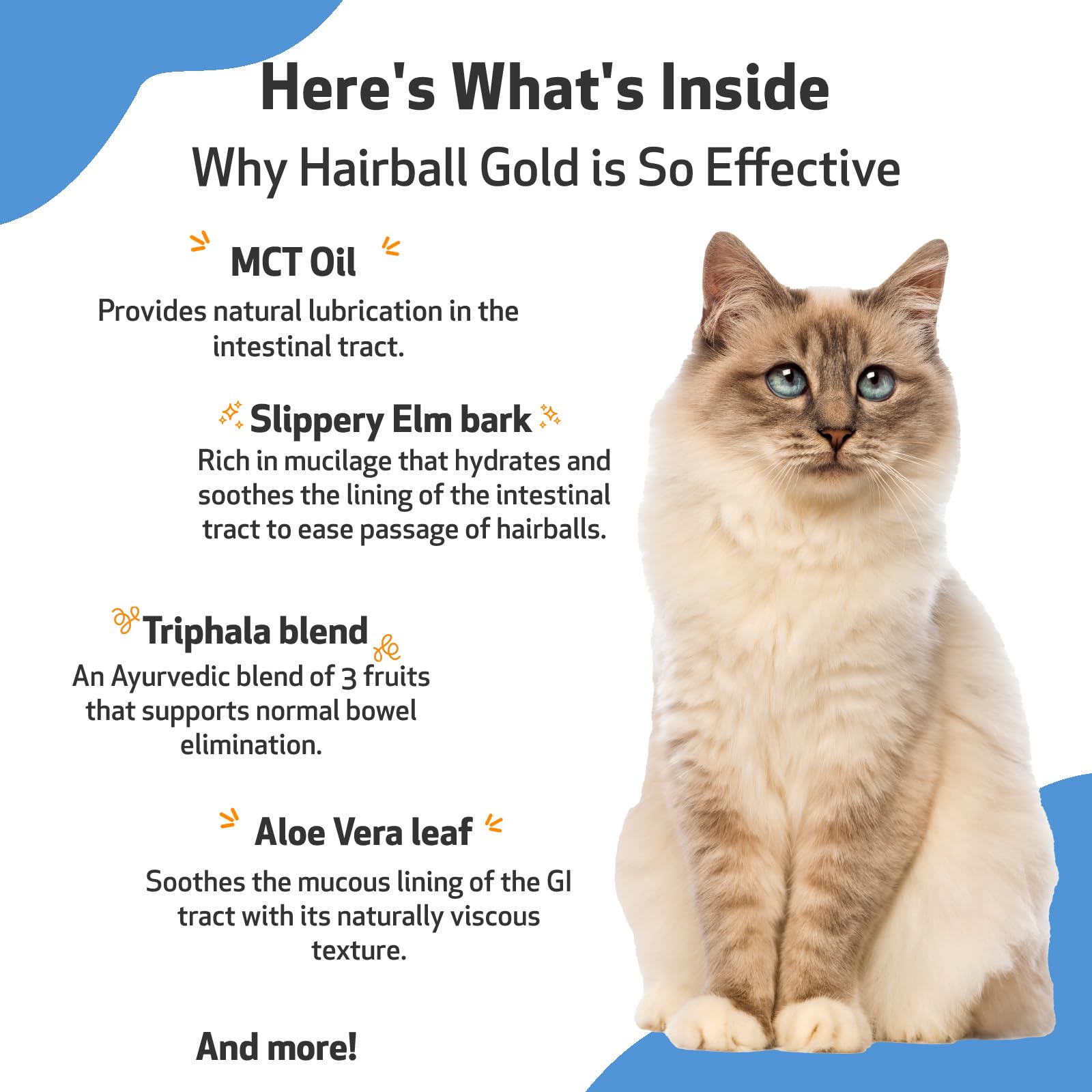 Pet Wellbeing Hairball Gold relaxed cat resting to comfort digestion