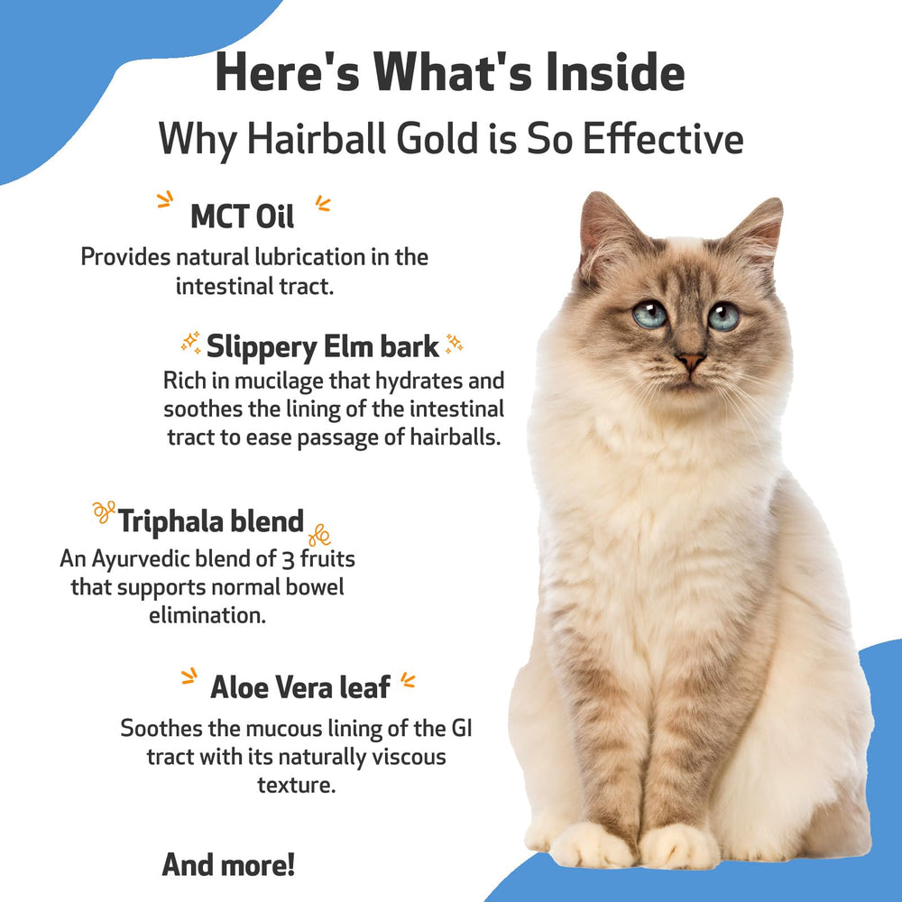 Pet Wellbeing Hairball Gold relaxed cat resting to comfort digestion