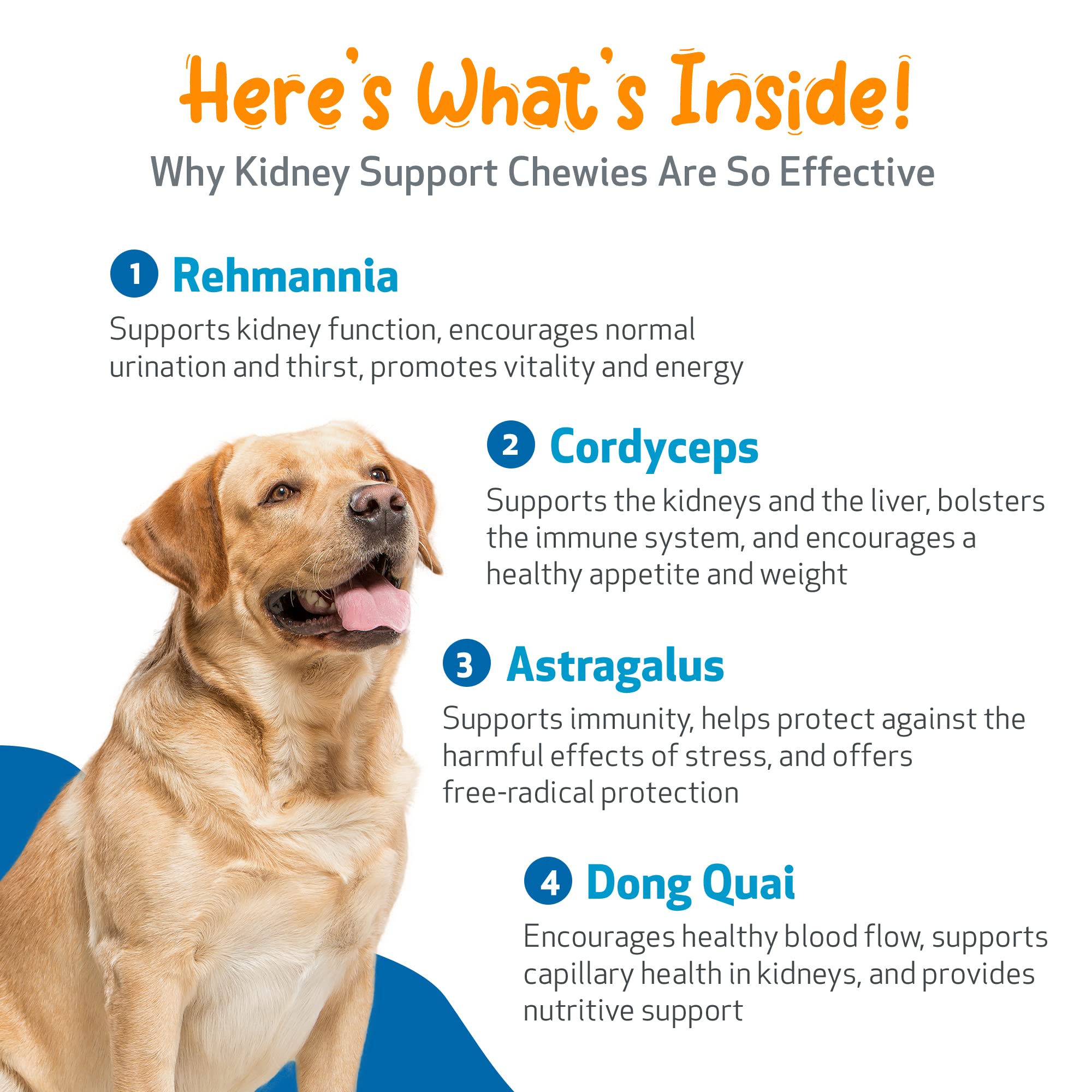 Pet Wellbeing Kidney Support Chewies packaging front—USA-made and NASC-certified quality.