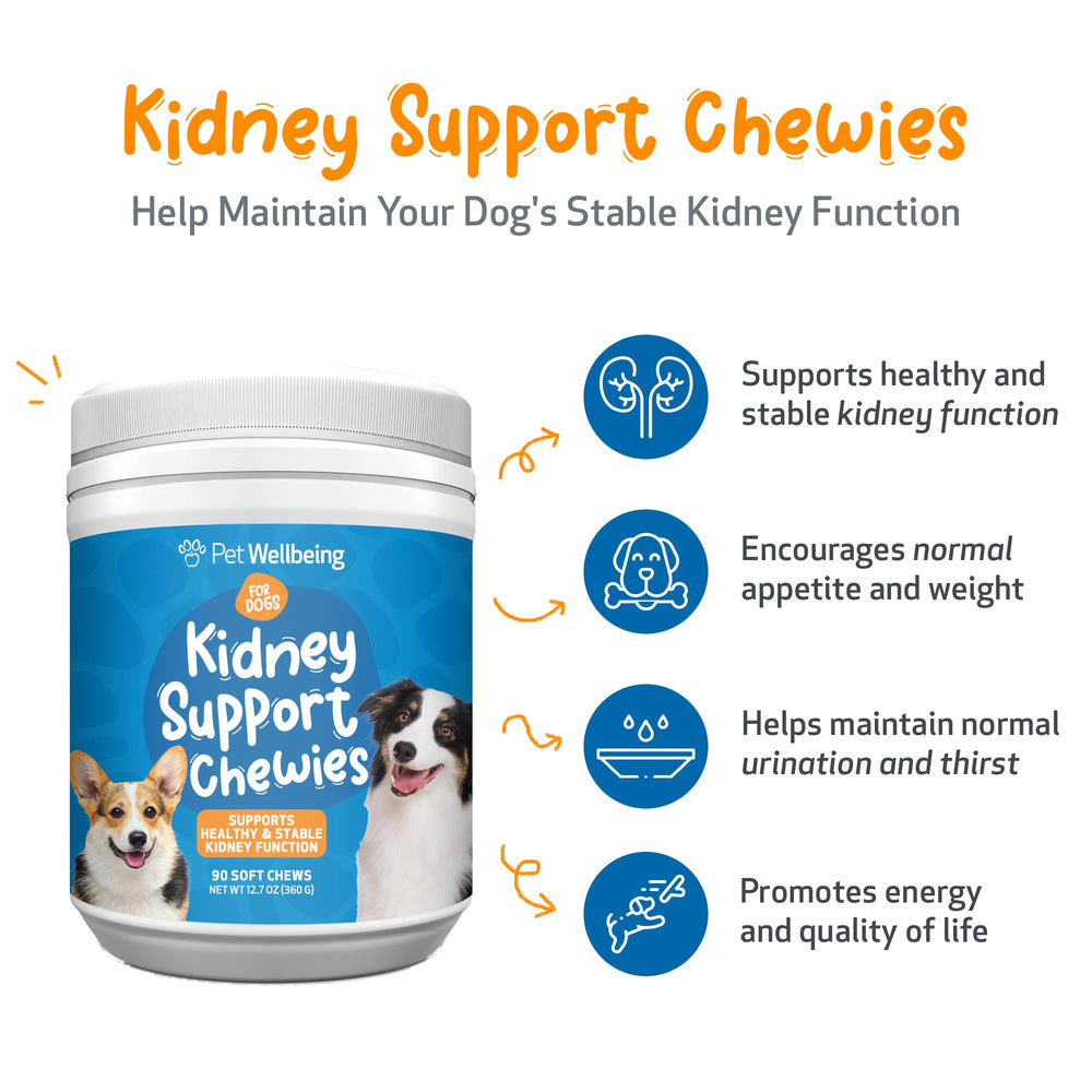 Pet Wellbeing Kidney Support Chewies serving dish—easy daily dosing supports hydration and comfort.