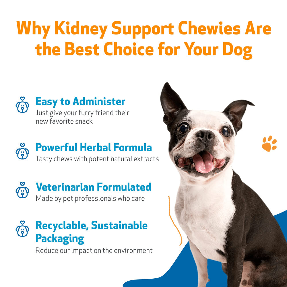Pet Wellbeing Kidney Support Chewies soft chews closeup—delicious texture supports daily wellness.