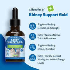 Pet Wellbeing Kidney Support Gold liquid droplets indicate alcohol-free formula.