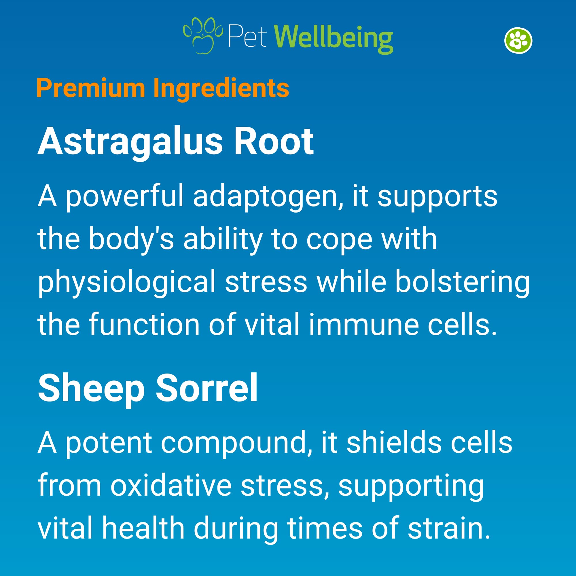 Pet Wellbeing Life Gold dog in motion suggests daily vitality