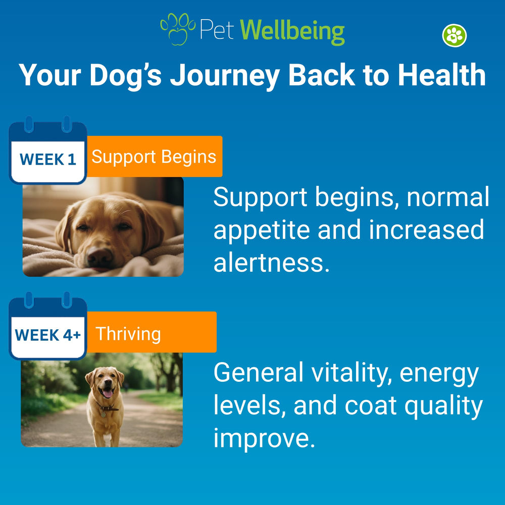 Pet Wellbeing Life Gold dosage spoon highlights convenient administration