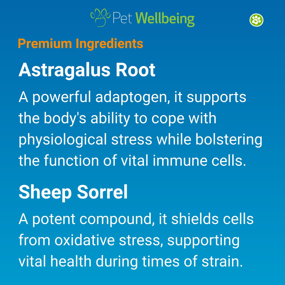 Pet Wellbeing Life Gold for Dogs astragalus and sorrel bottle—herbal blend for natural balance.