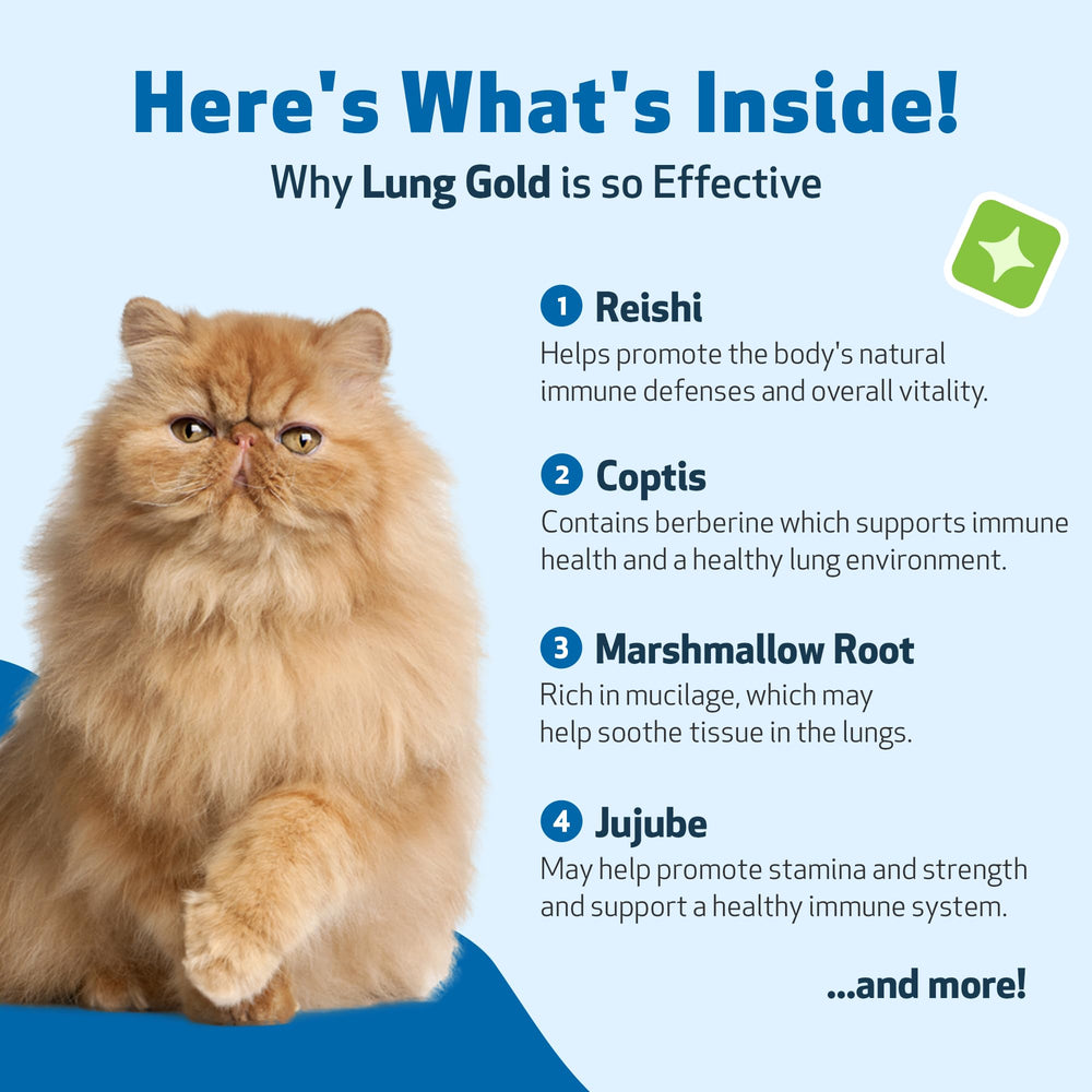 Pet Wellbeing Lung Gold for Cats ingredients reishi and coptis shown visually