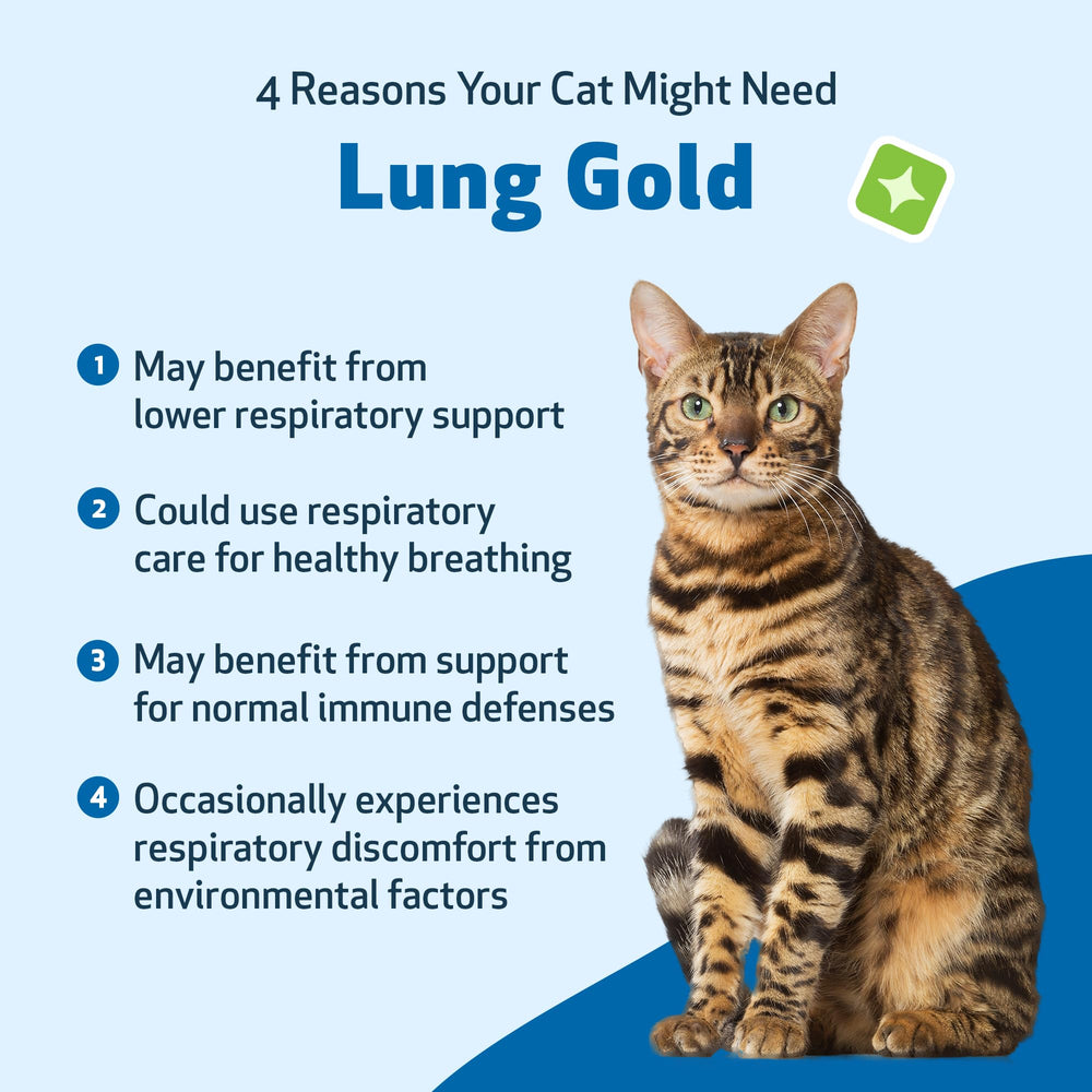 Pet Wellbeing Lung Gold for Cats label close-up highlighting the herbal blend