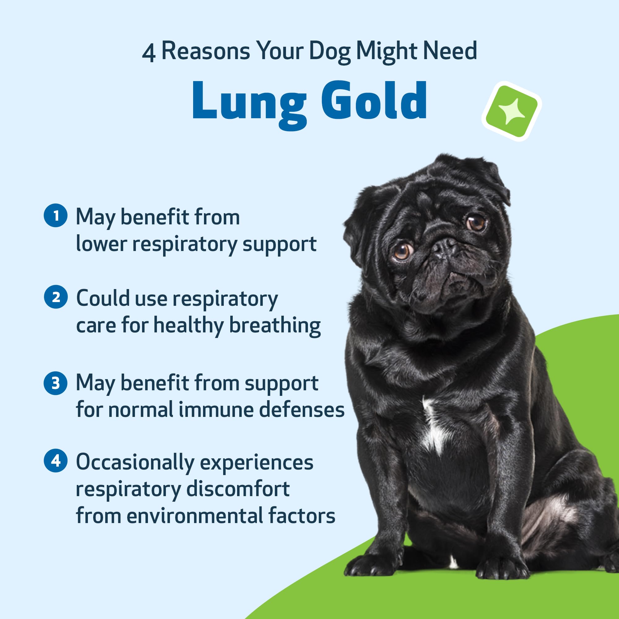 Pet Wellbeing Lung Gold dosing spoon easing precise administration for dogs.