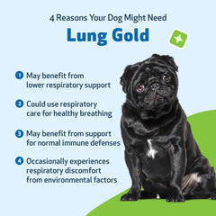 Pet Wellbeing Lung Gold dosing spoon easing precise administration for dogs.