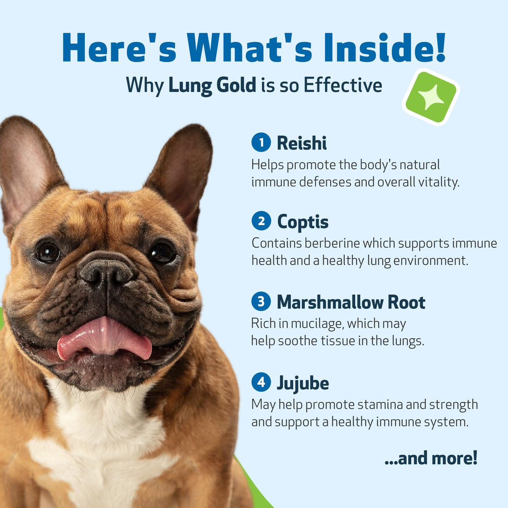 Pet Wellbeing Lung Gold vet-formulated notes on the label.