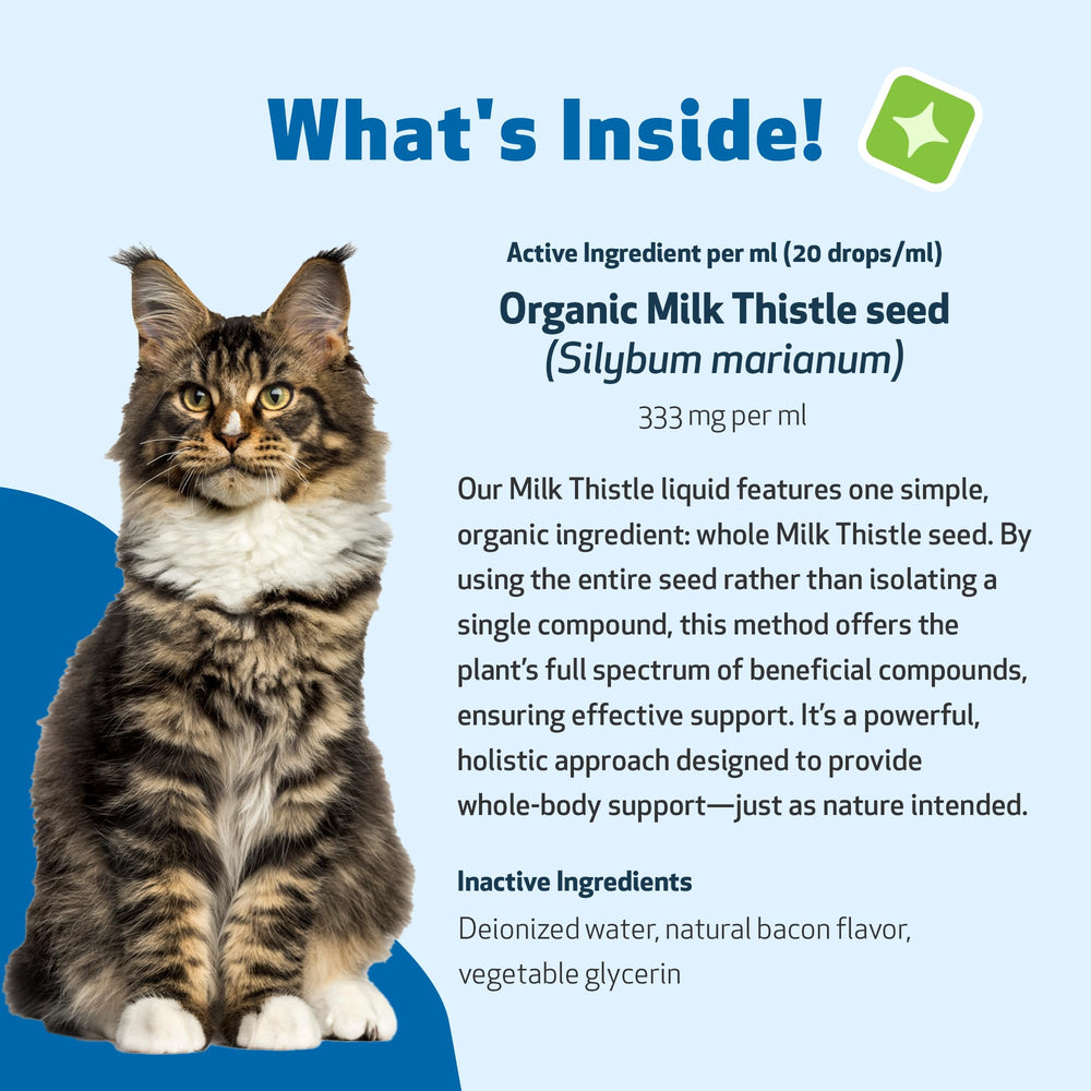 Pet Wellbeing Milk Thistle for Cats dropper tips ease administration for daily wellness.