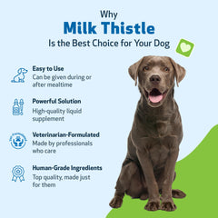 Pet Wellbeing Milk Thistle liquid is poured for easy daily dosing and care.