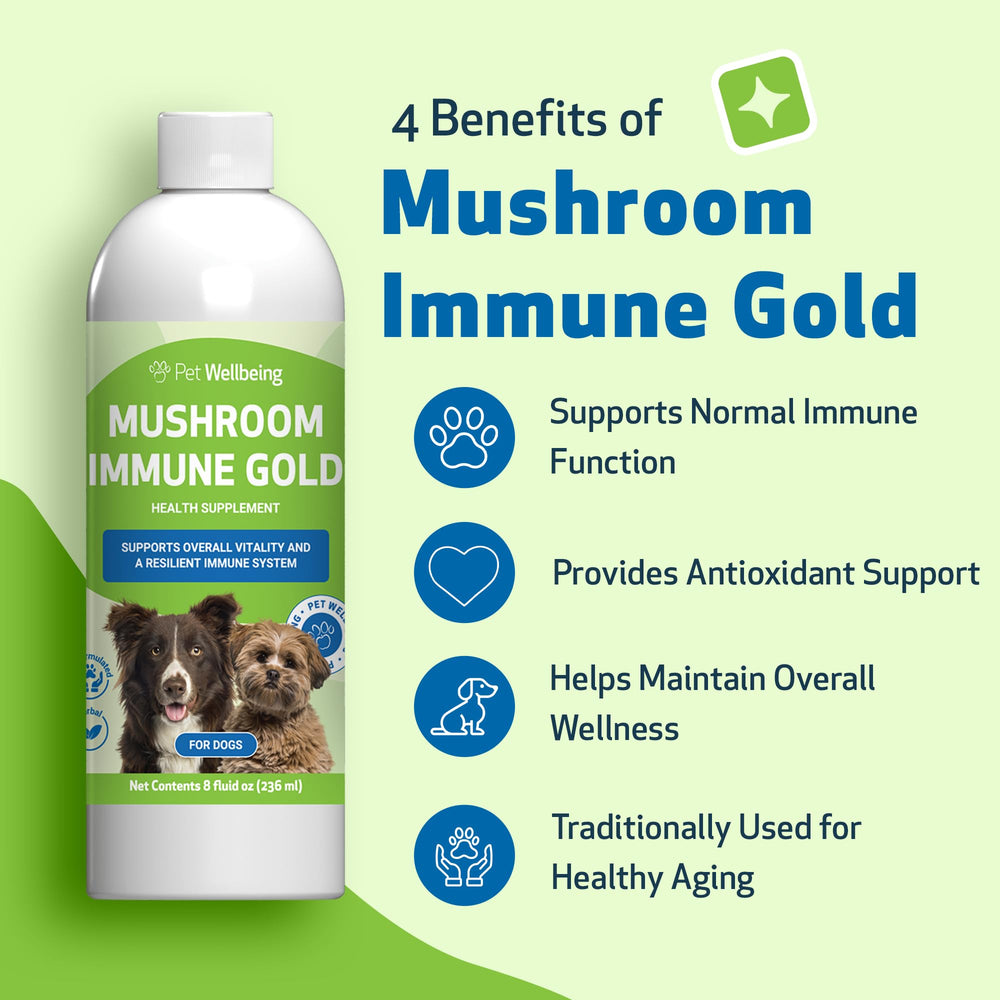 Pet Wellbeing Mushroom Immune Gold drizzle into dog food for seamless supplementation.