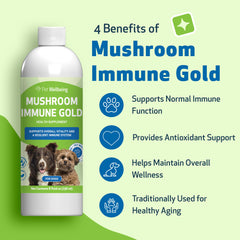 Pet Wellbeing Mushroom Immune Gold drizzle into dog food for seamless supplementation.