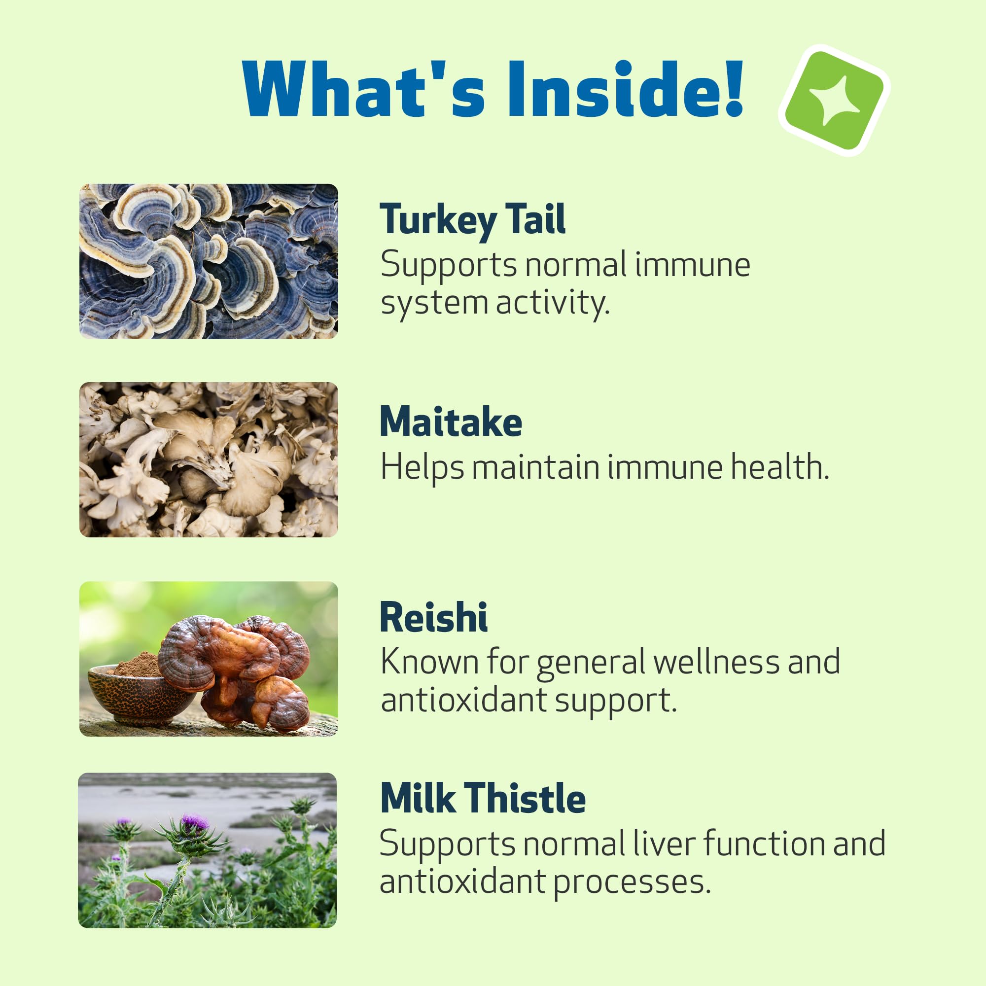 Pet Wellbeing Mushroom Immune Gold ingredients emphasizing antioxidant support.