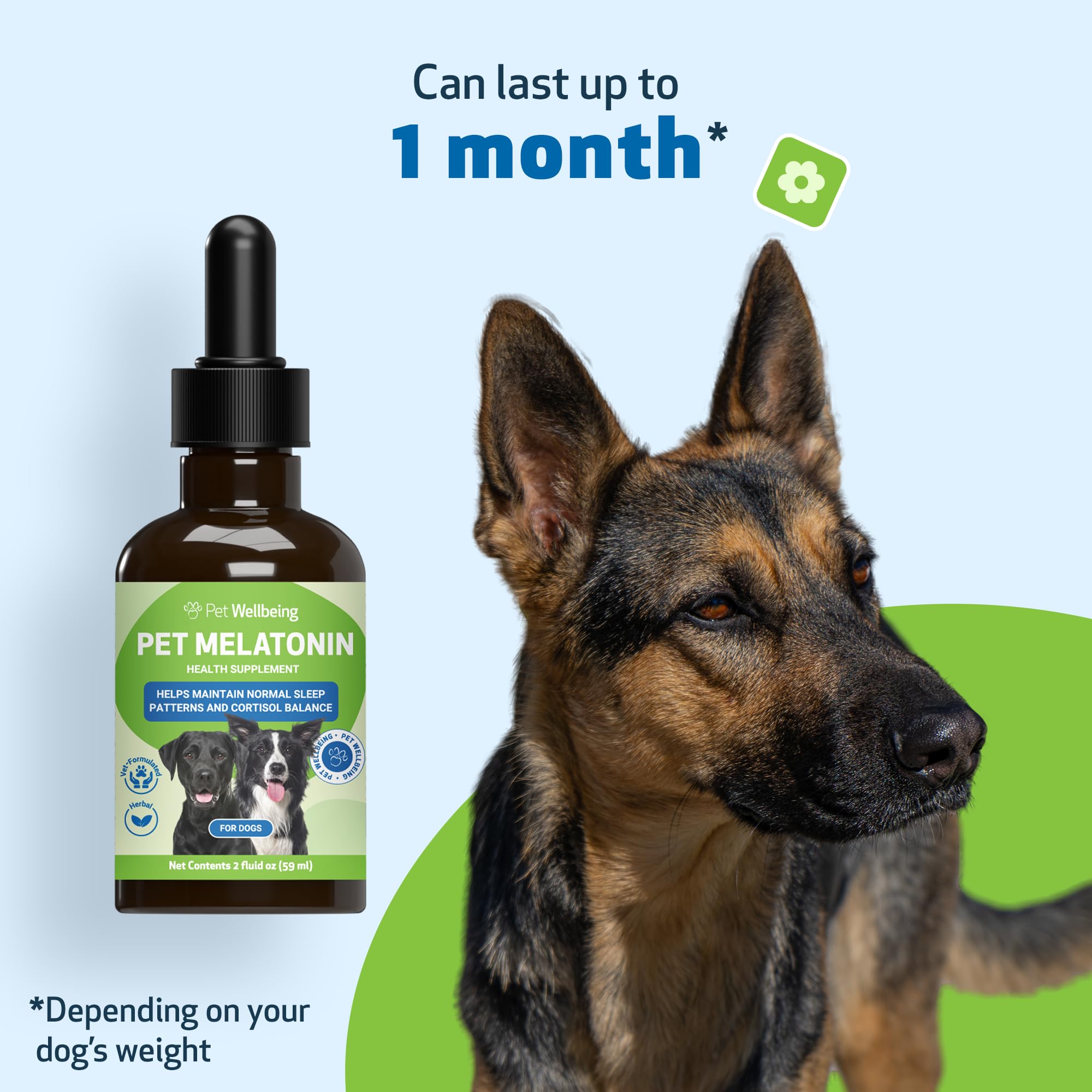 Pet Wellbeing Melatonin night-time routine with calm, relaxed dog