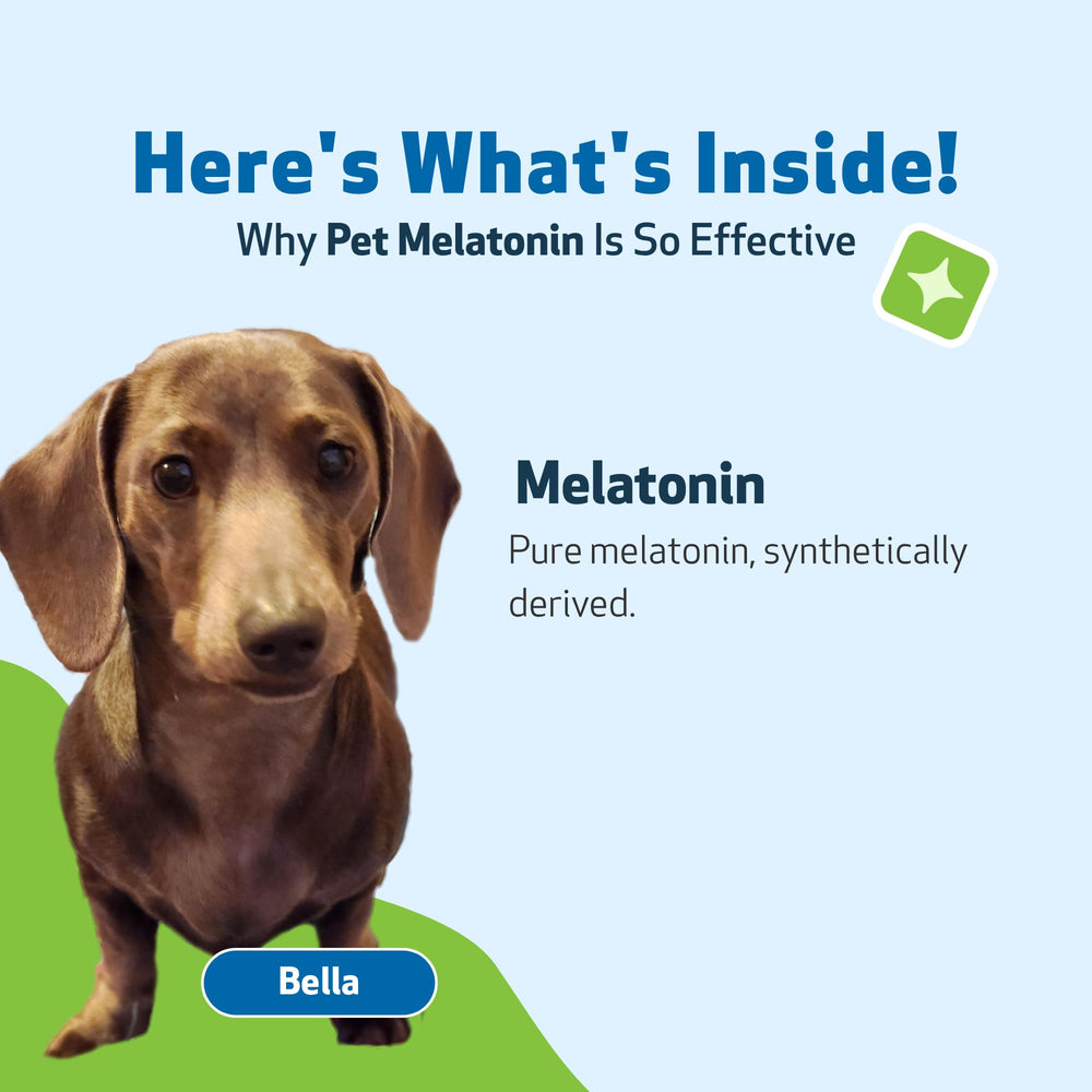 Pet Wellbeing Melatonin USA-made label highlighting purity testing