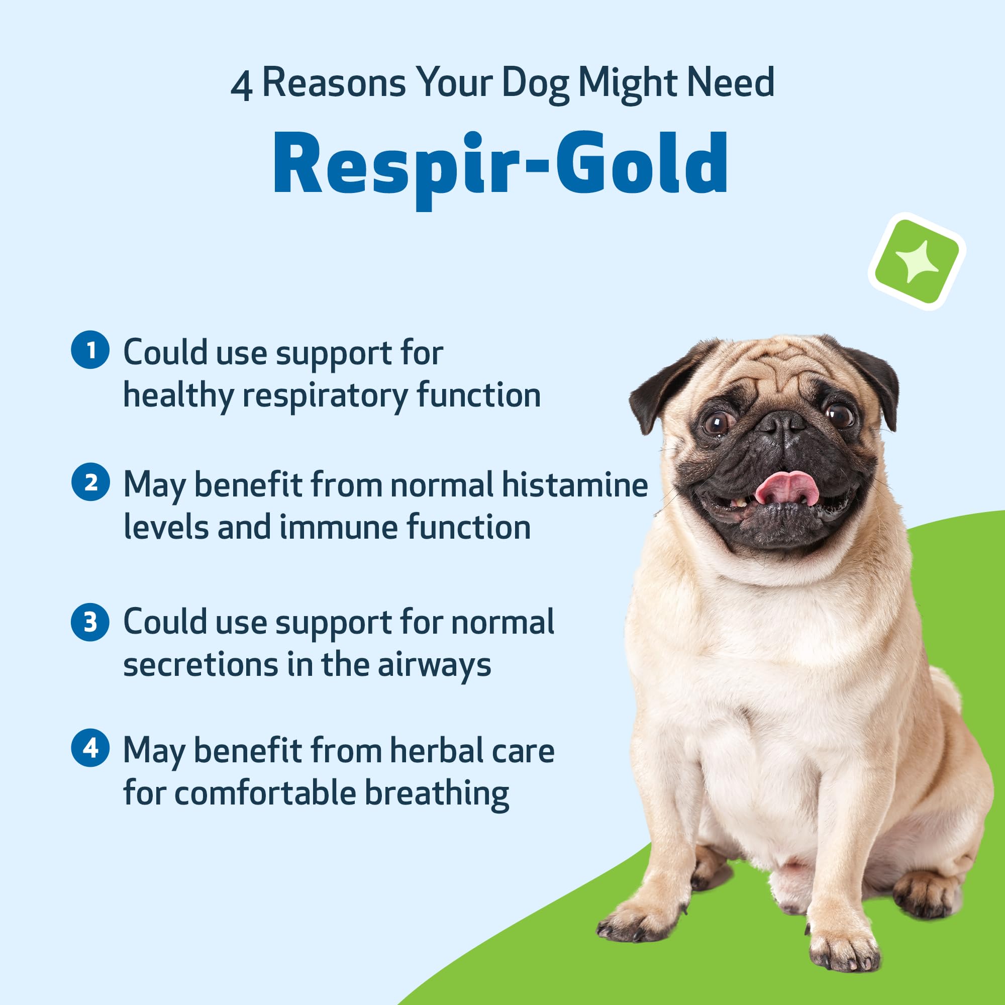 Pet Wellbeing Respir-Gold black cumin close-up supports airway function.