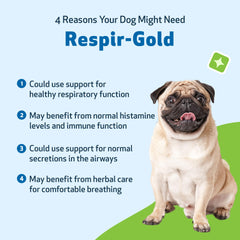 Pet Wellbeing Respir-Gold black cumin close-up supports airway function.