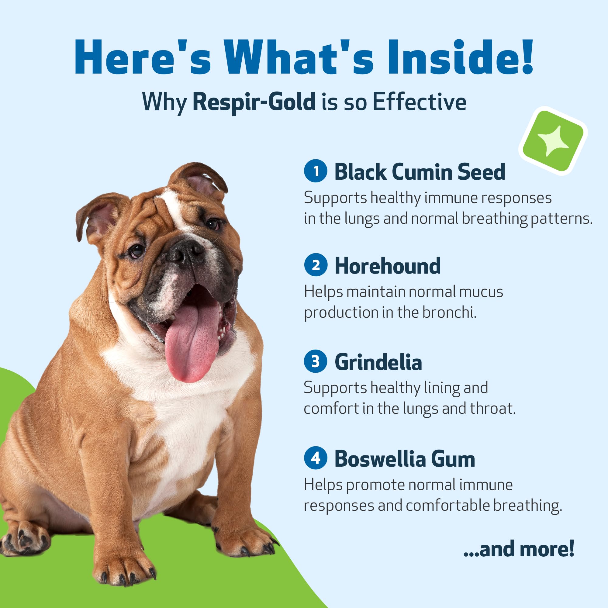 Pet Wellbeing Respir-Gold dog breathing scene suggesting smoother breaths and comfort.