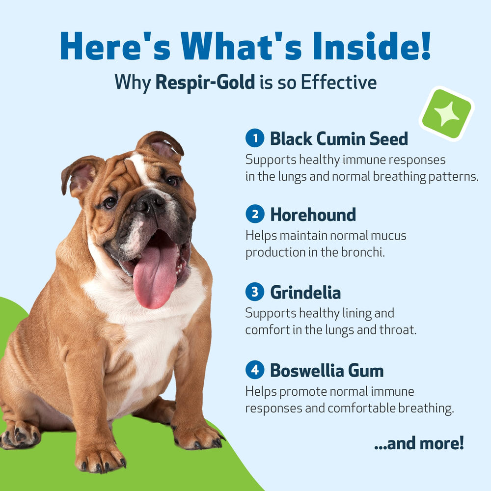 Pet Wellbeing Respir-Gold dog breathing scene suggesting smoother breaths and comfort.