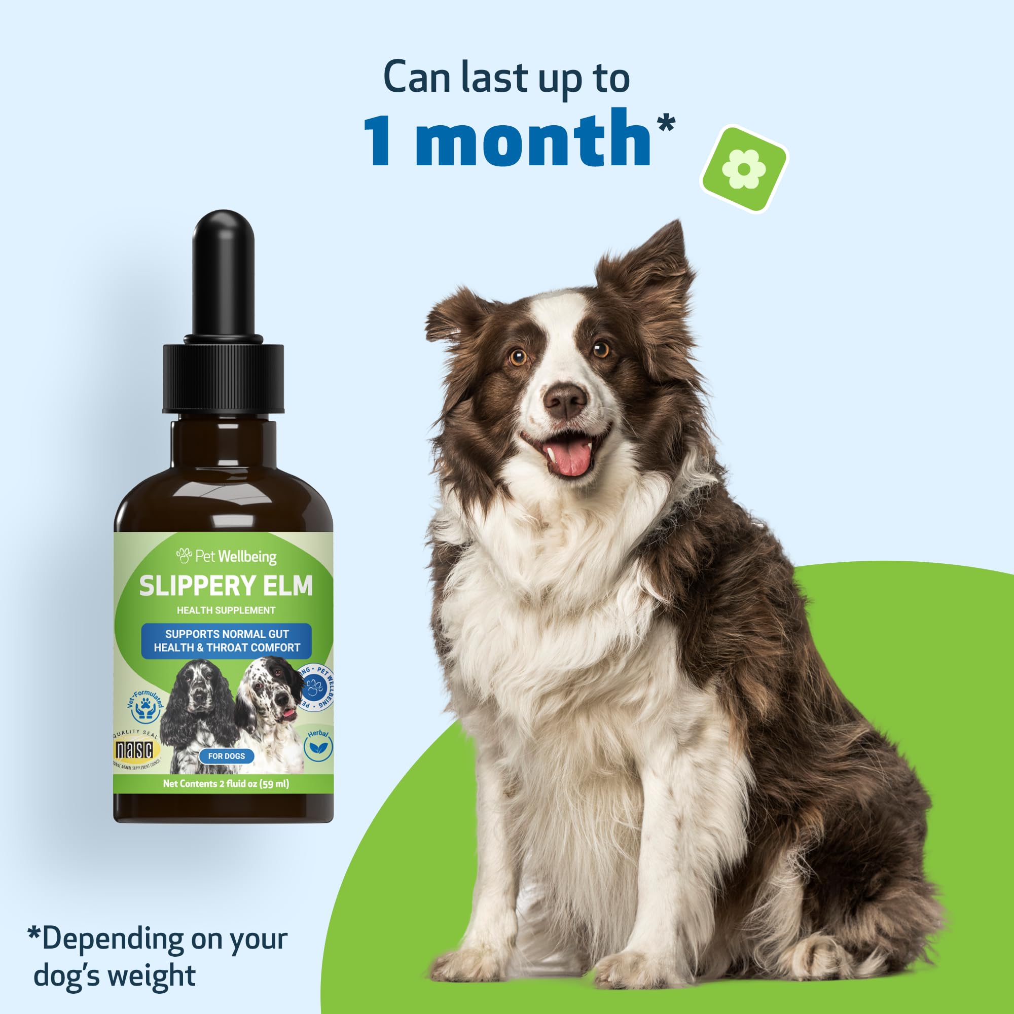 Pet Wellbeing Slippery Elm use-case travel helps dogs during stressful trips