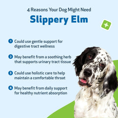 Pet Wellbeing Slippery Elm serving dropper ensures precise dosing for digestive support