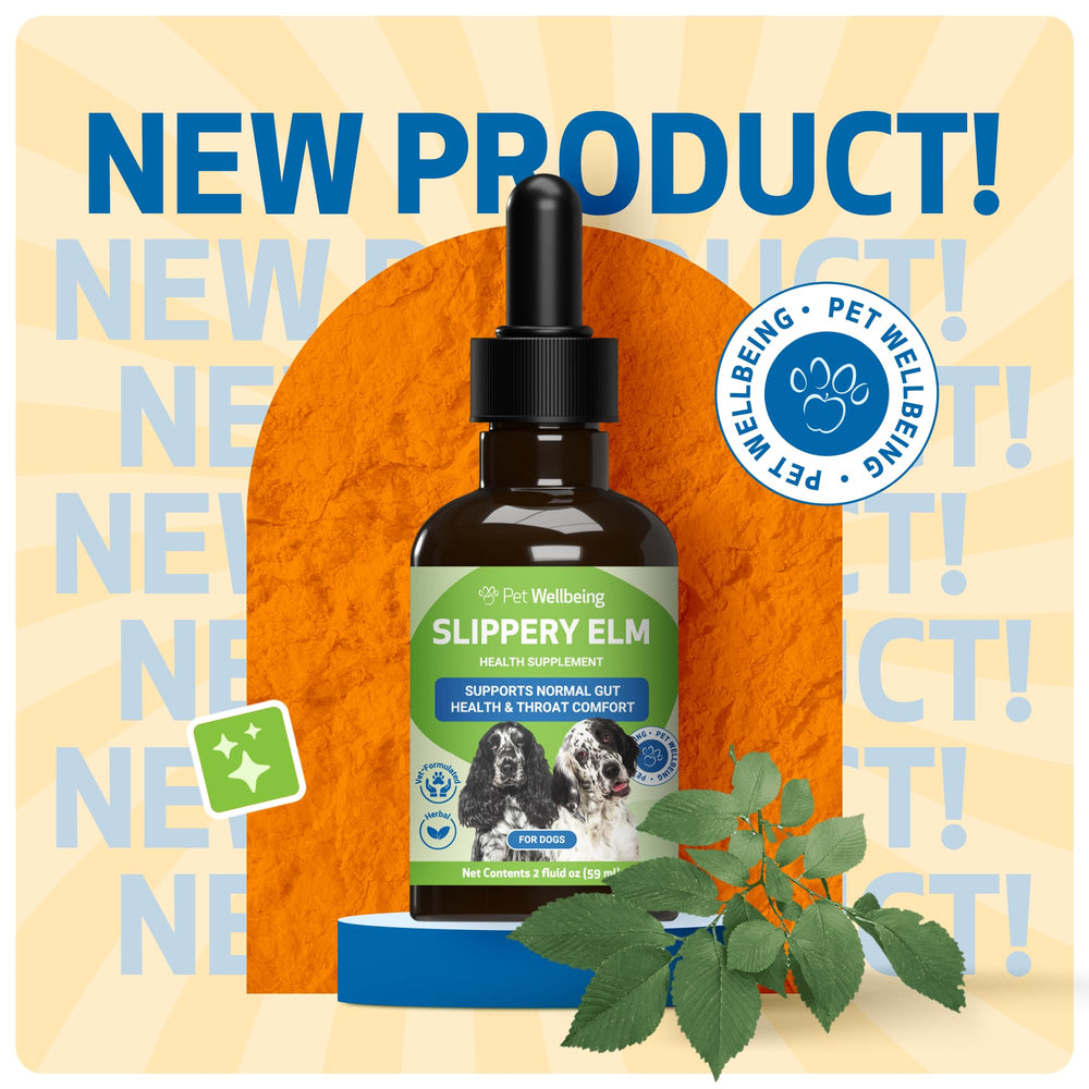 Pet Wellbeing Slippery Elm liquid dispense demonstrates easy administration for canine digestive comfort