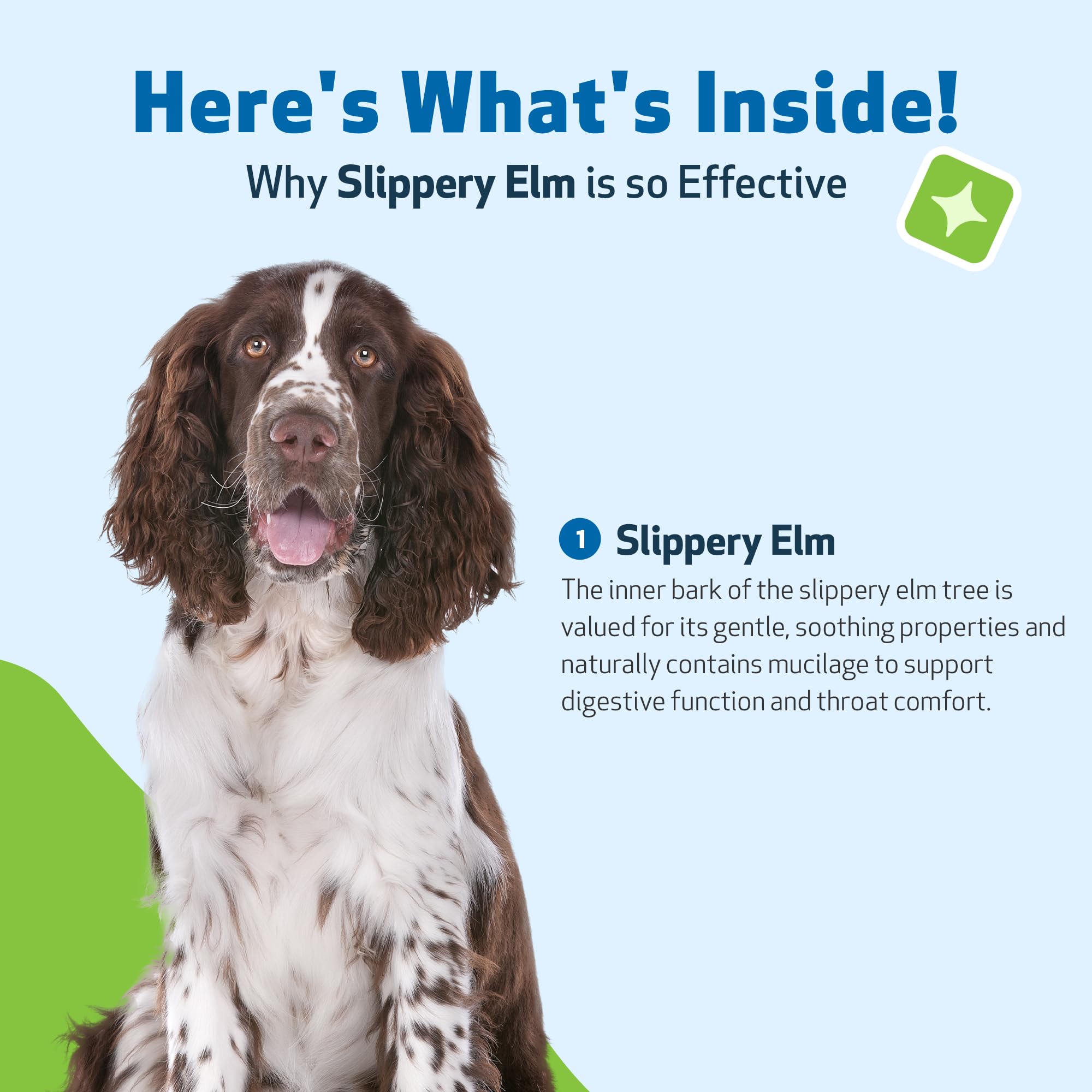 Pet Wellbeing Slippery Elm bottle shows USA-made facility with FDA-registered quality