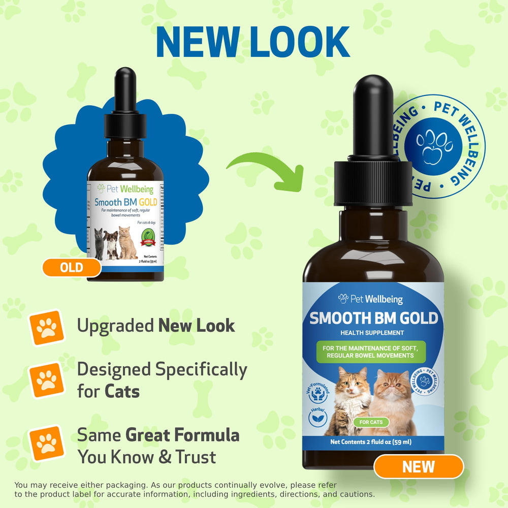 Pet Wellbeing Smooth BM Gold cat relaxing comfortably after gentle relief.