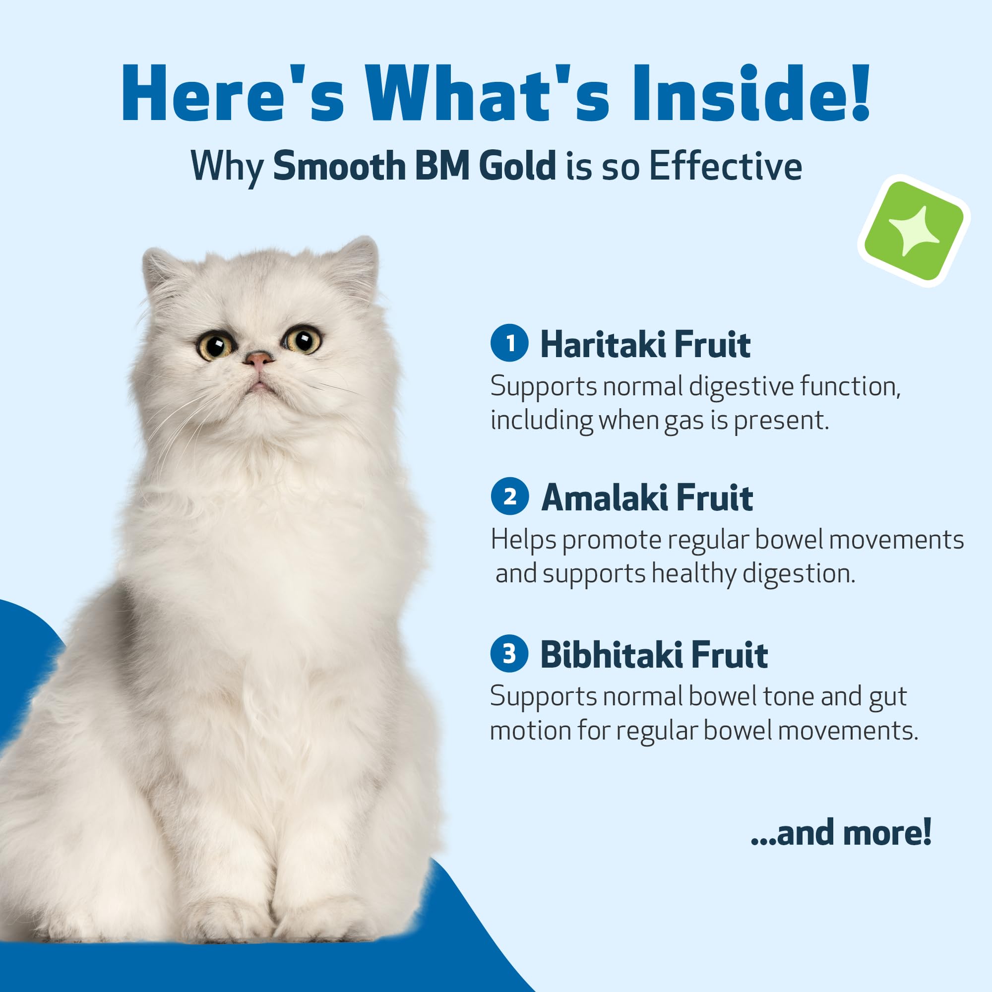 Pet Wellbeing Smooth BM Gold USA-manufactured tag reinforces trusted production standards.