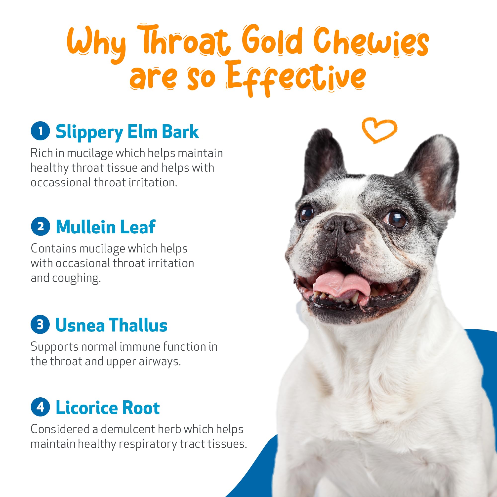 Pet Wellbeing Throat Gold Chewies box indicating USA-made production.