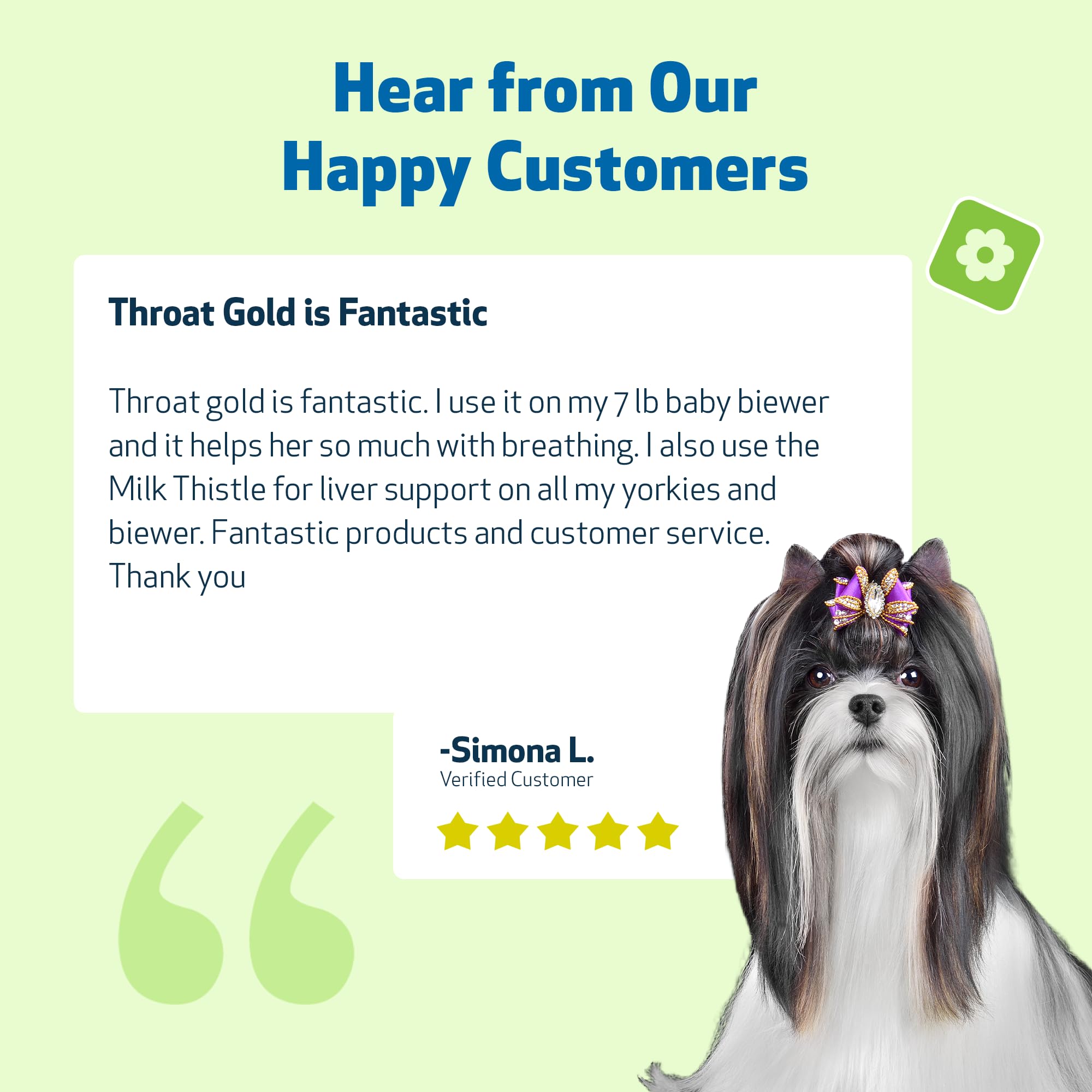 Pet Wellbeing Throat Gold dog-friendly usage scene suggests improved comfort during leash walks.